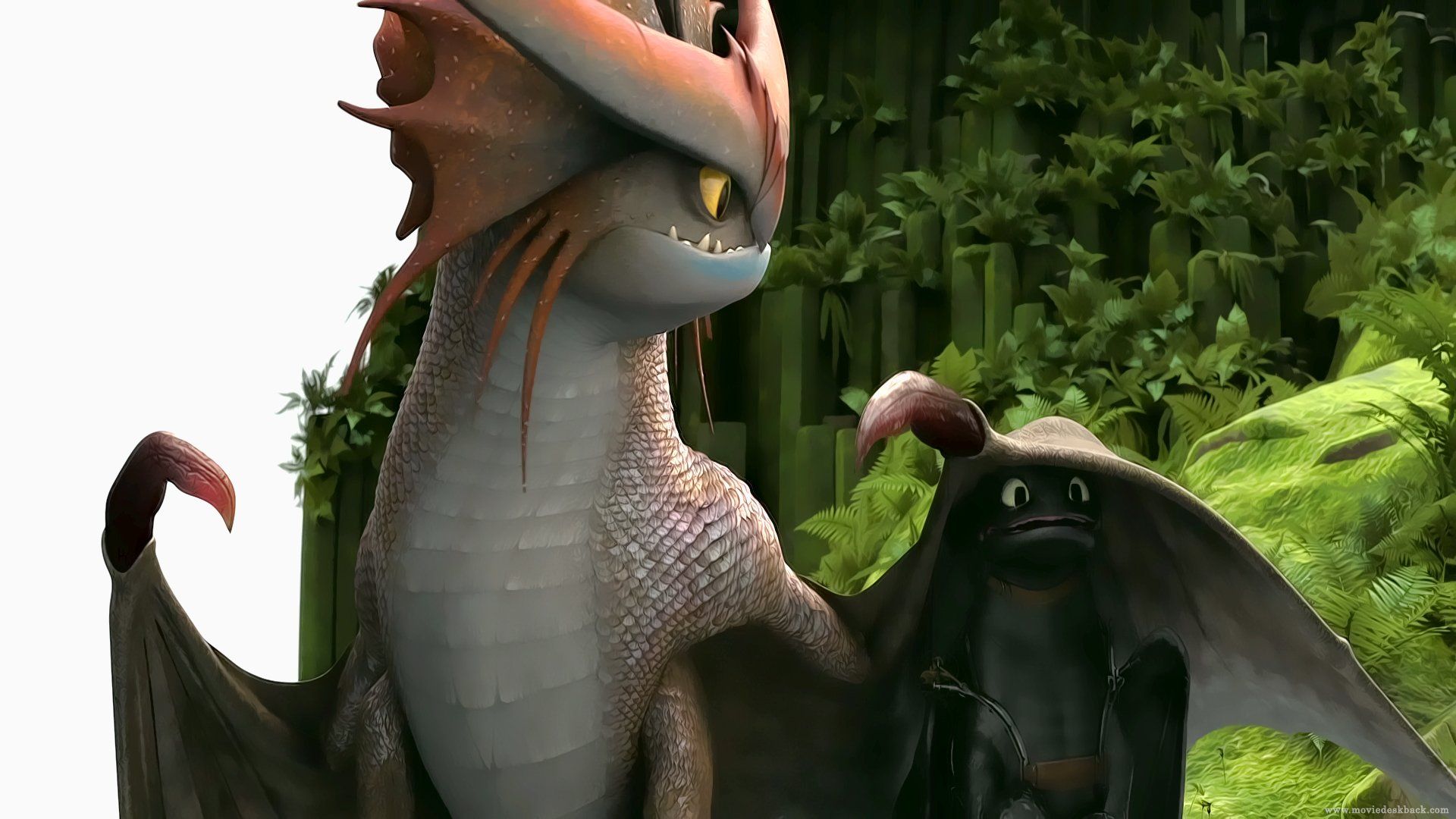1920x1080 HD Wallpaper of Cloudjumper and Toothless from How to Train Your Dragon 2x1080