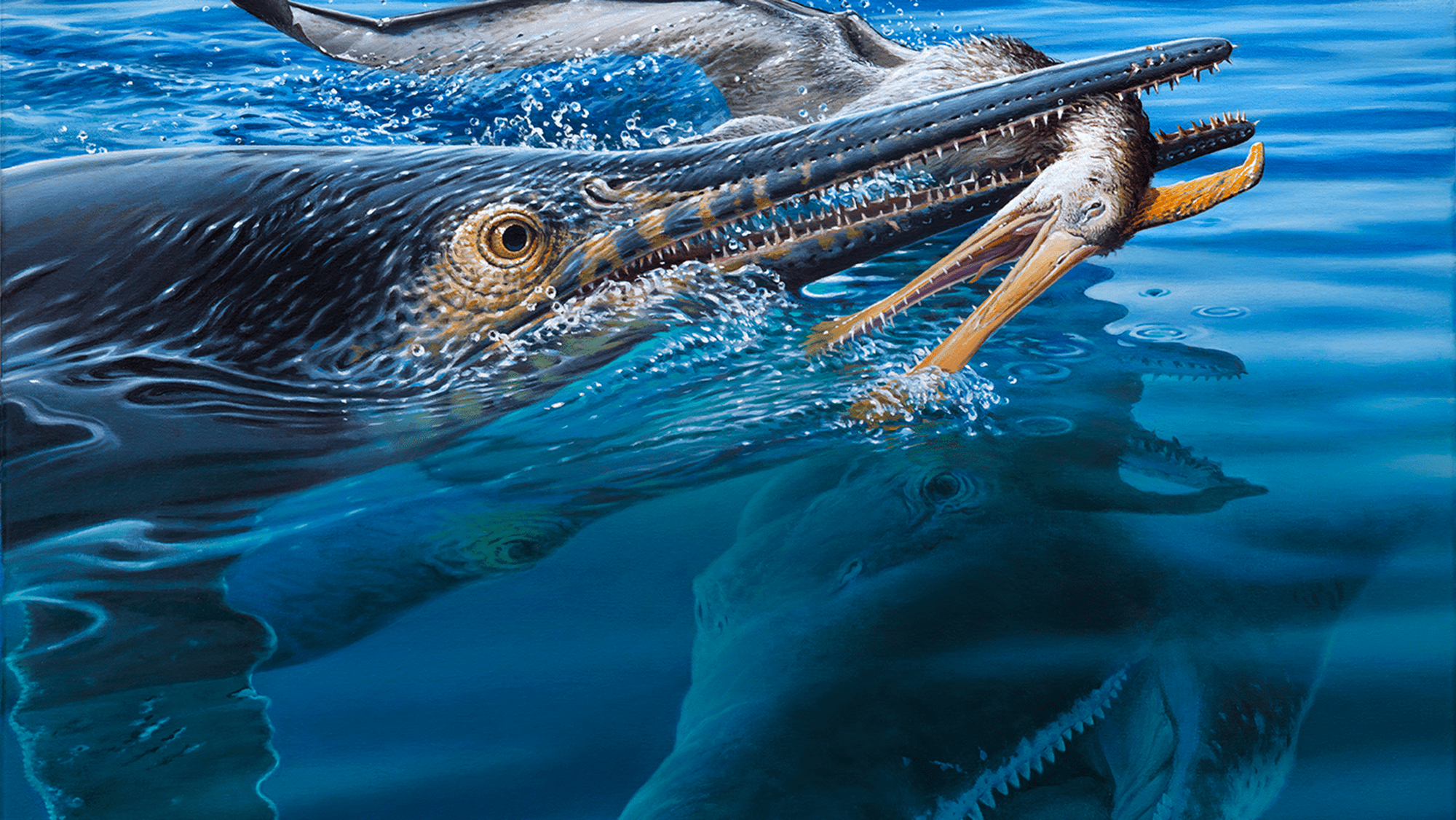 2000x1126 Image Gallery: Ancient Monsters of the Sea