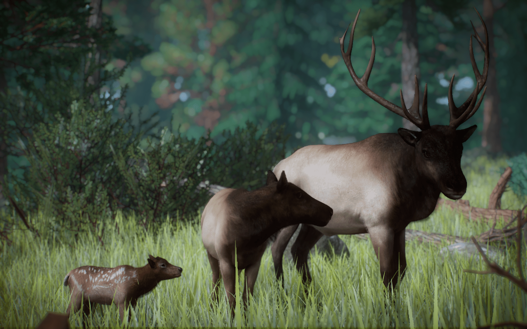 1680x1050 The Rocky Mountain Elk is now available on the Nexus!