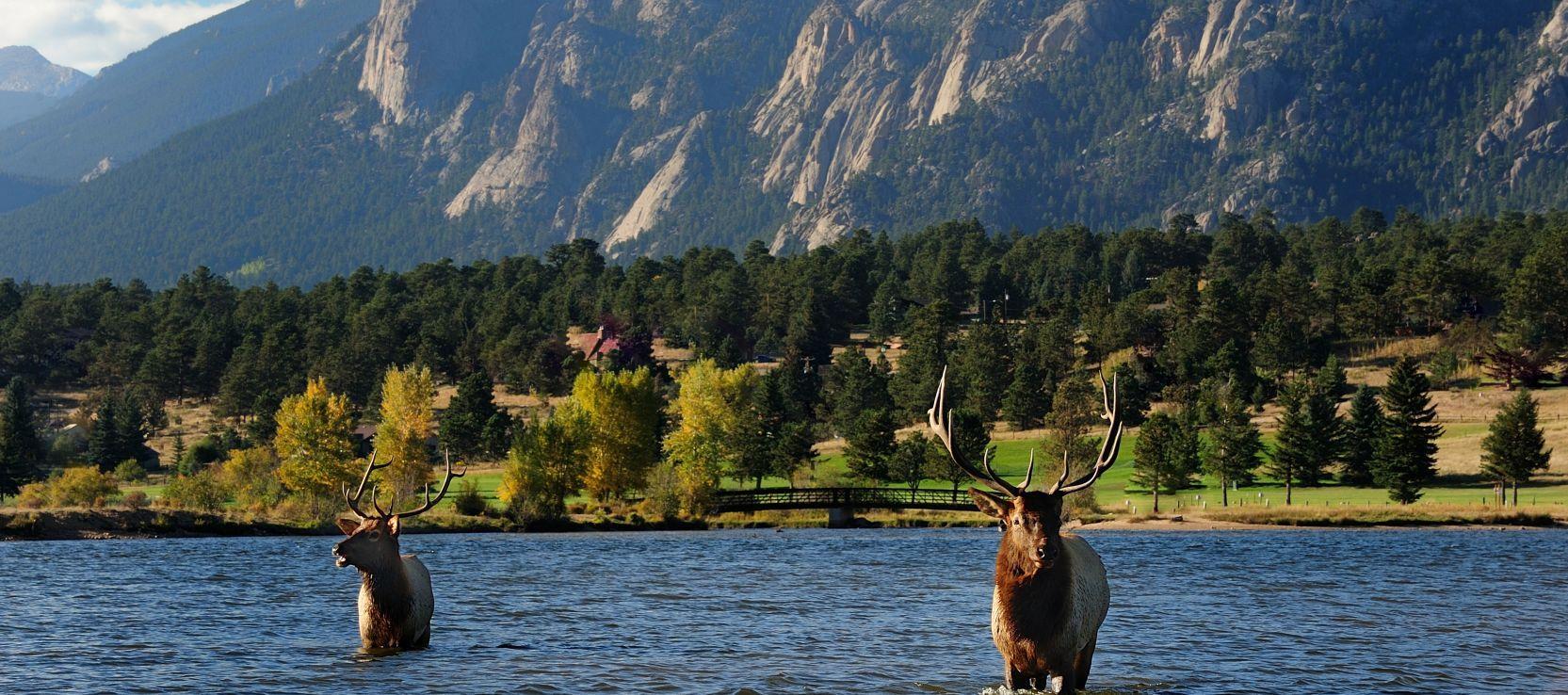1665x738 Rocky Mountain National Park near Longmont, Colorado