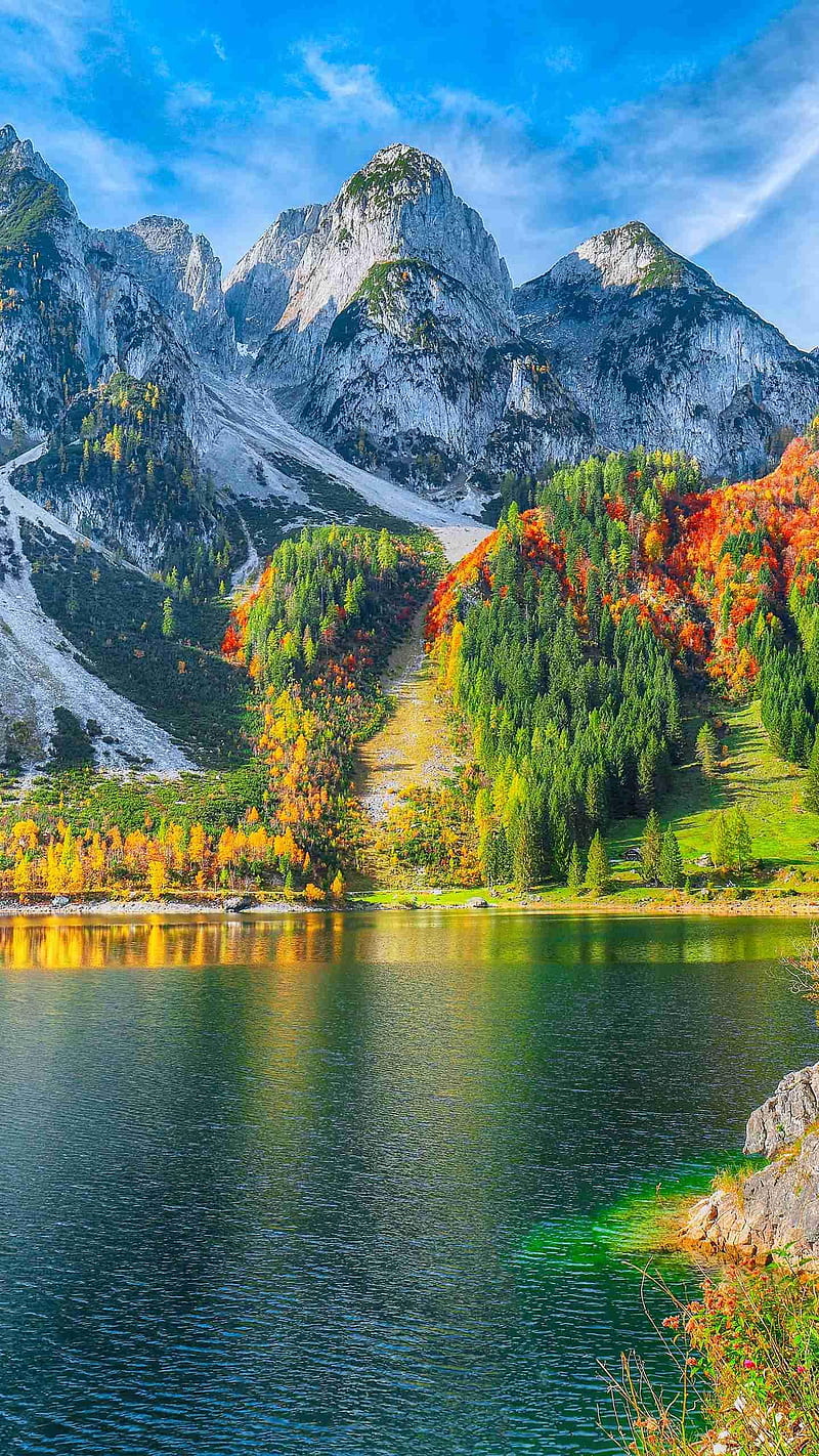 800x1422 Nice View, austria, clean, gosau, lake, lake gosau, lakes, mountain, mountains, HD phone wallpaper
