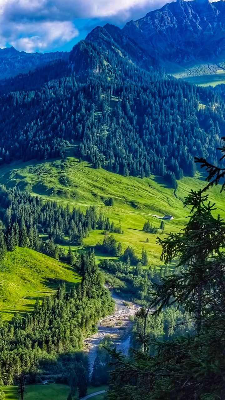 720x1280 Phone wallpaper: Earth, Landscape, Austria, Forest, Mountain 1282694