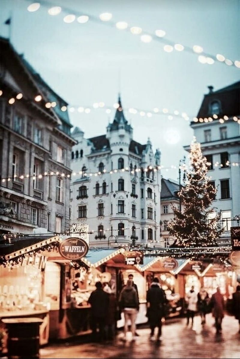 800x1196 Christmas Market in Vienna, Austria. Top vacation spots, Christmas travel, Vacation spots, HD phone wallpaper