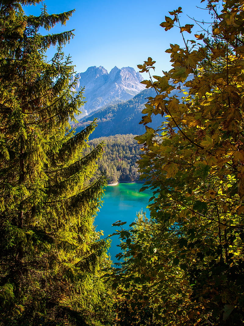 800x1070 Mountains, lake, branches, tyrol, austria, HD phone wallpaper