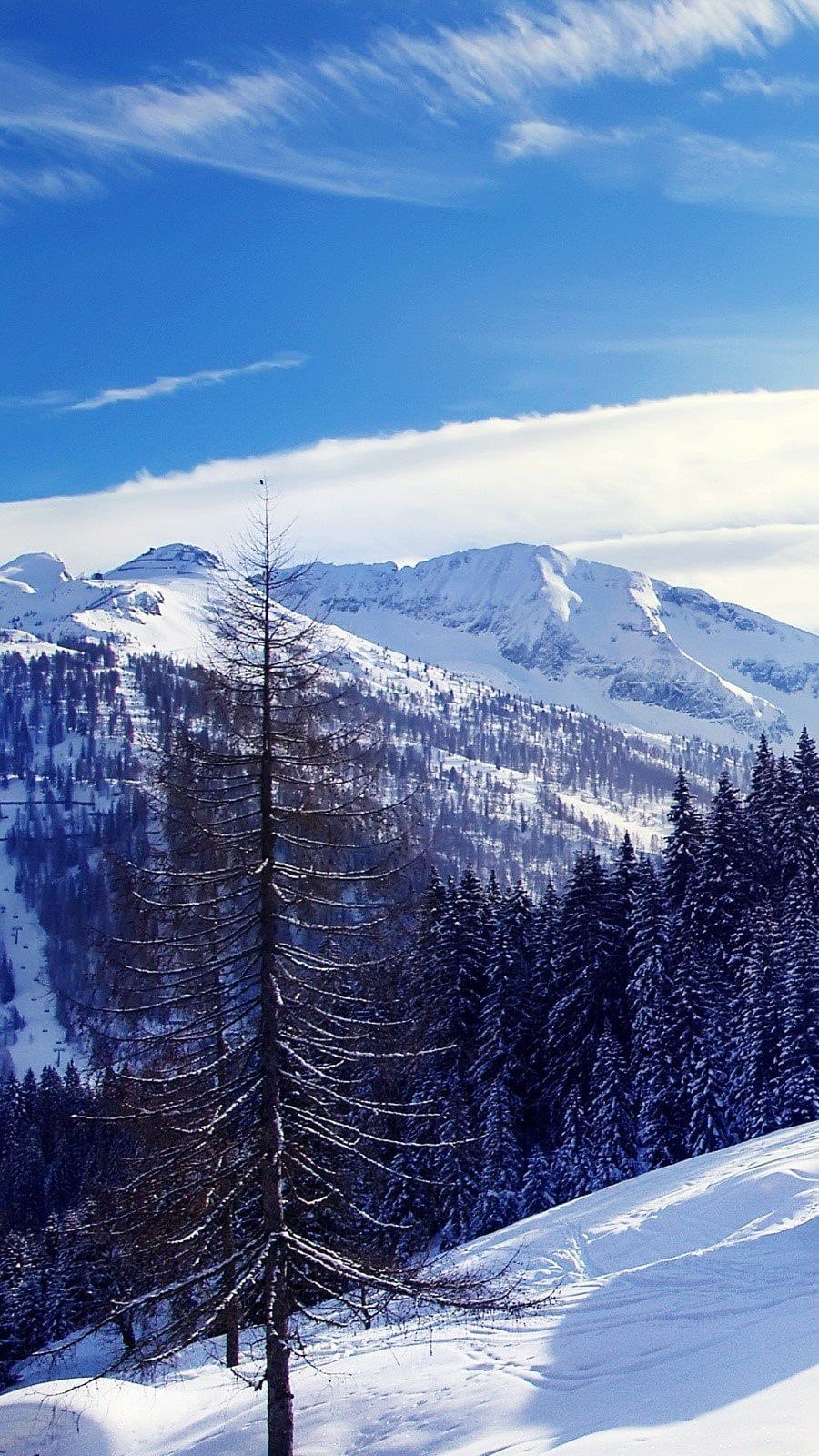 900x1600 Alps in Austria Wallpaper 2K for iPhone and Mobile Phone