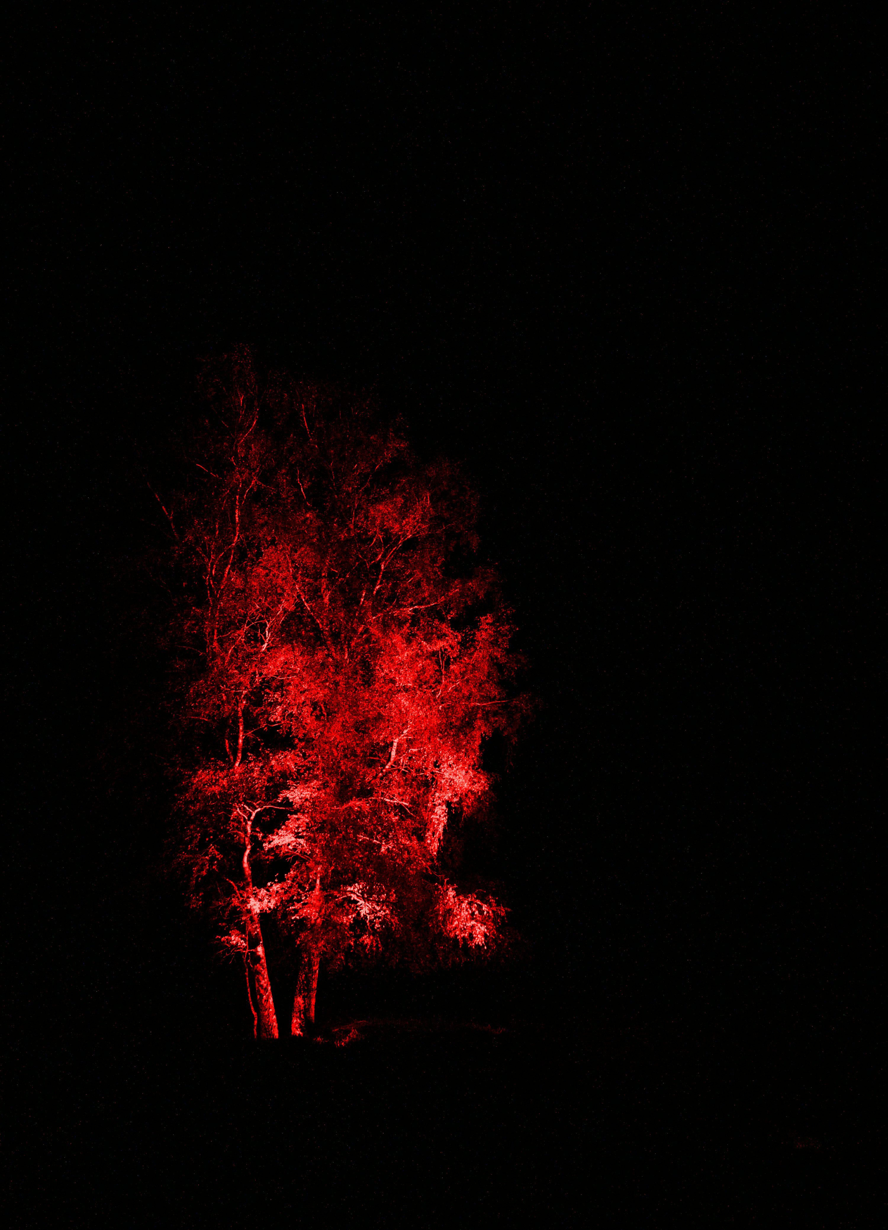 3000x4155 Black And Red Picture. Download Free Image
