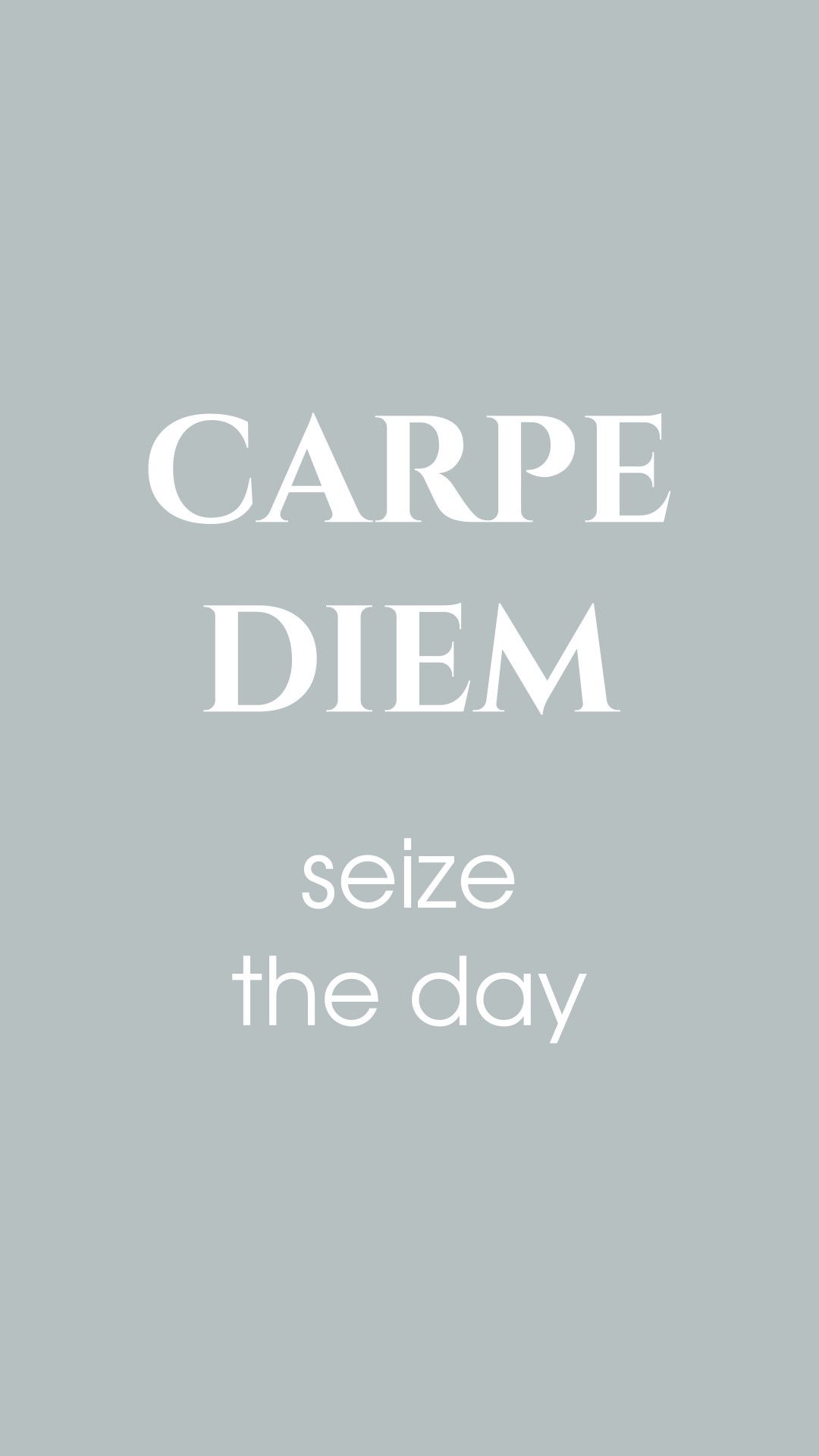 1080x1920 Free Phone Wallpaper. Carpe Diem The Day
