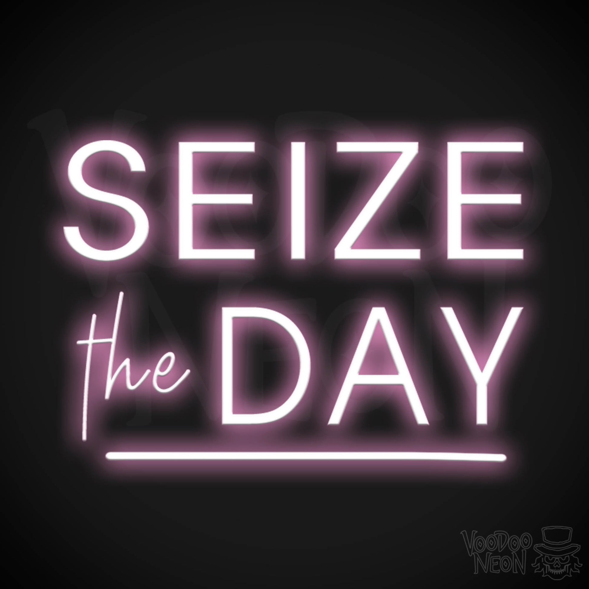 1946x1946 Seize The Day Neon Sign. Neon Seize The Day Sign. LED Wall Art