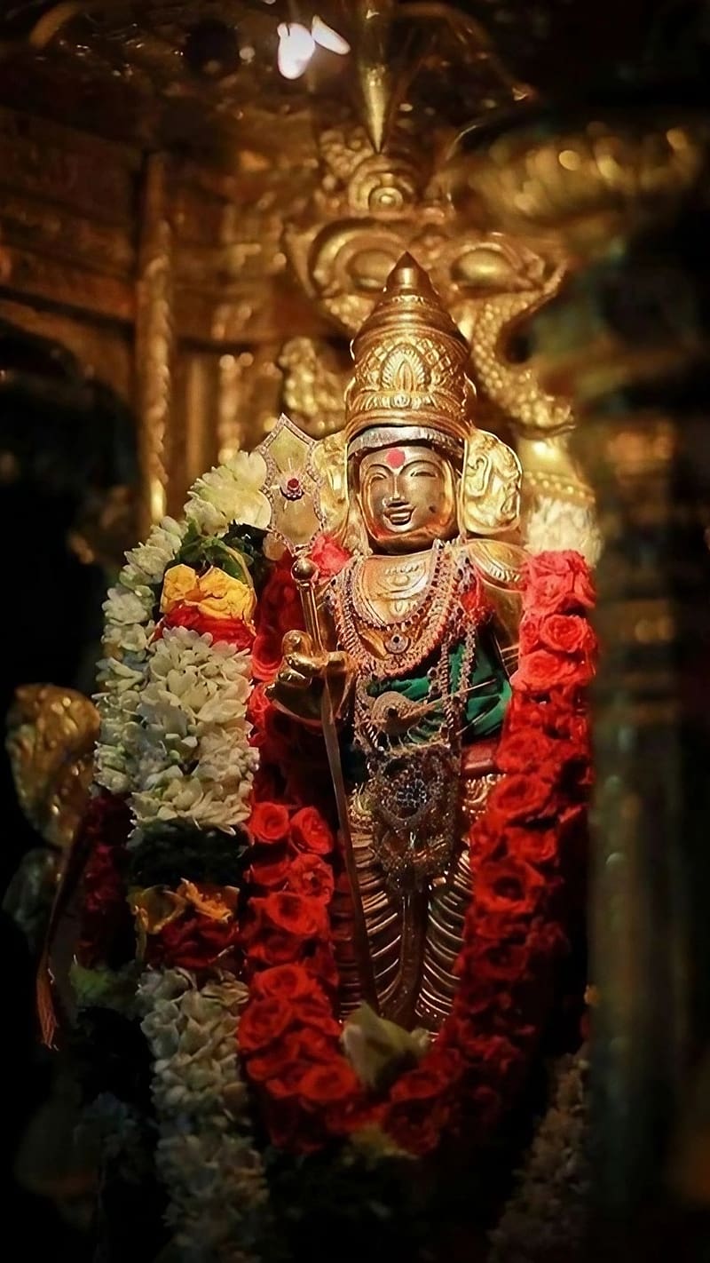 800x1422 Lord Murugan, Temple, kartikeya temple, god, bakti, HD phone wallpaper