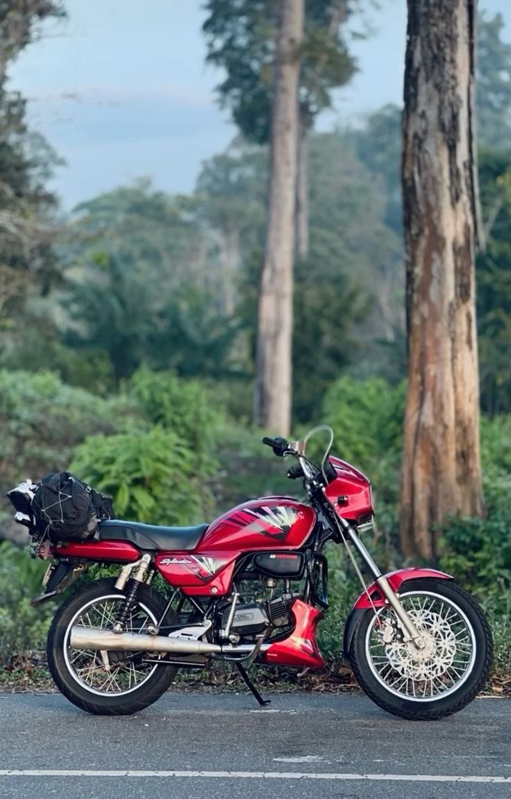 736x1150 Splendor Wallpaper, Photo & Image.co.in