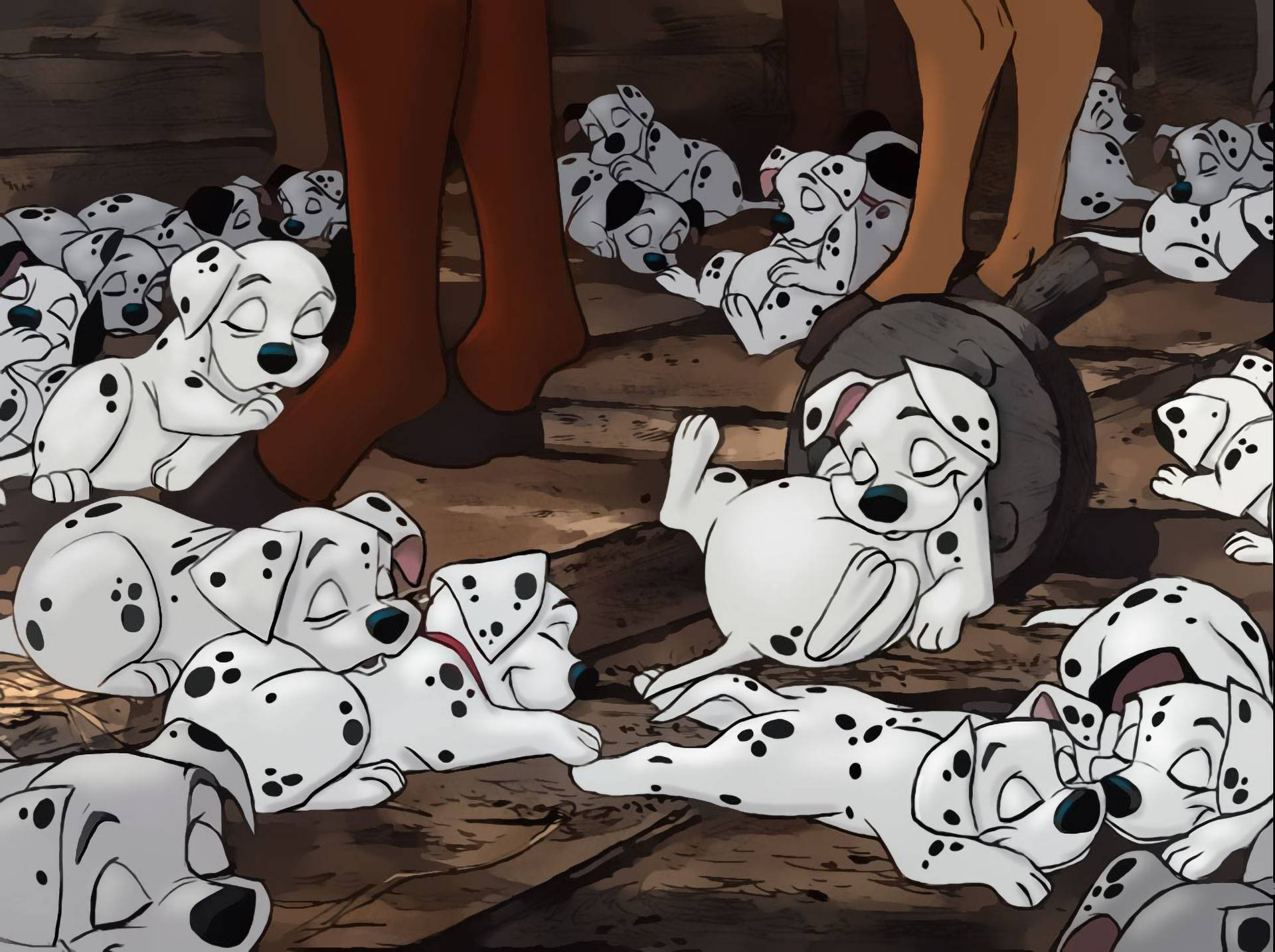 1920x1435 Download 101 Dalmatians Napping On Stable Wallpaper