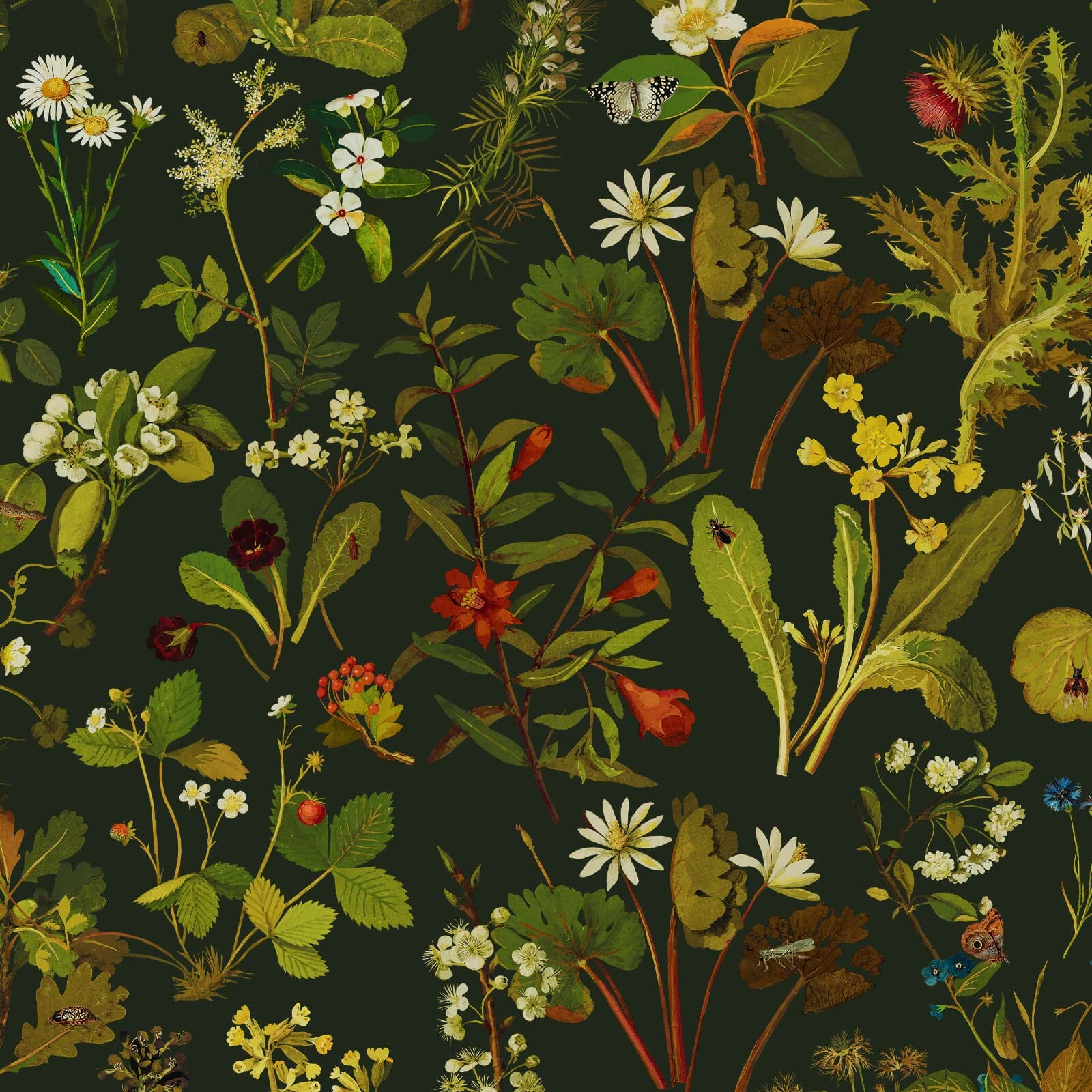1600x1600 Floral Wallpaper. Botanical & Patterned Designs by House of Hackney