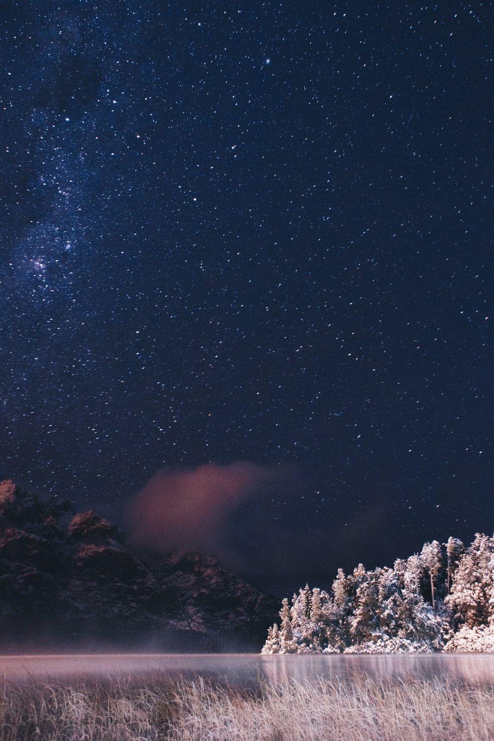 1000x1500 Winter Night Picture. Download Free Image