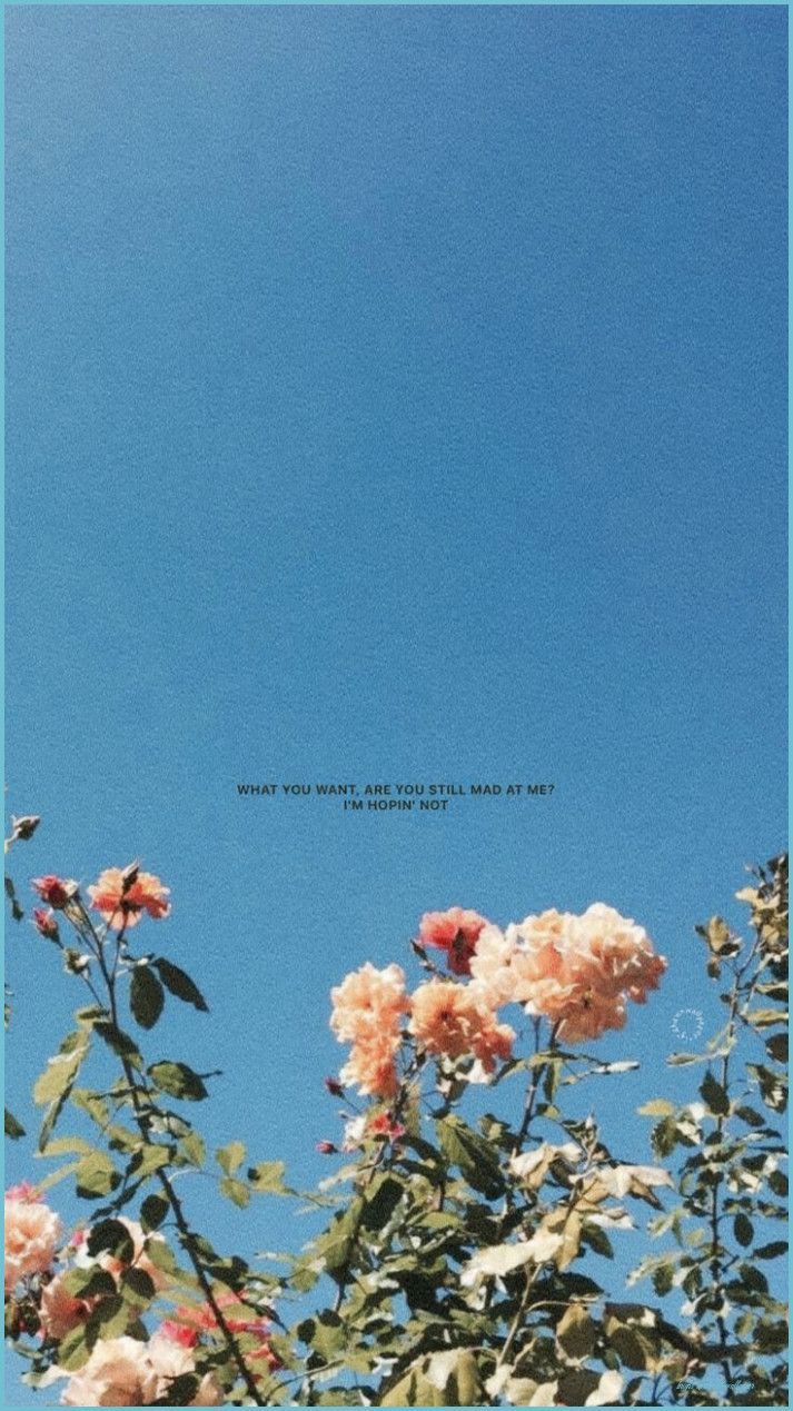 713x1269 Bright And Aesthetic Wallpaper