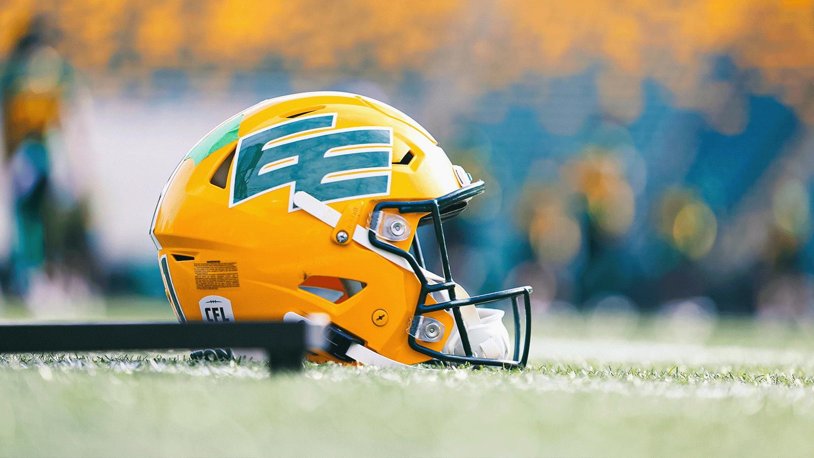 1600x900 The Edmonton Elks Football Club