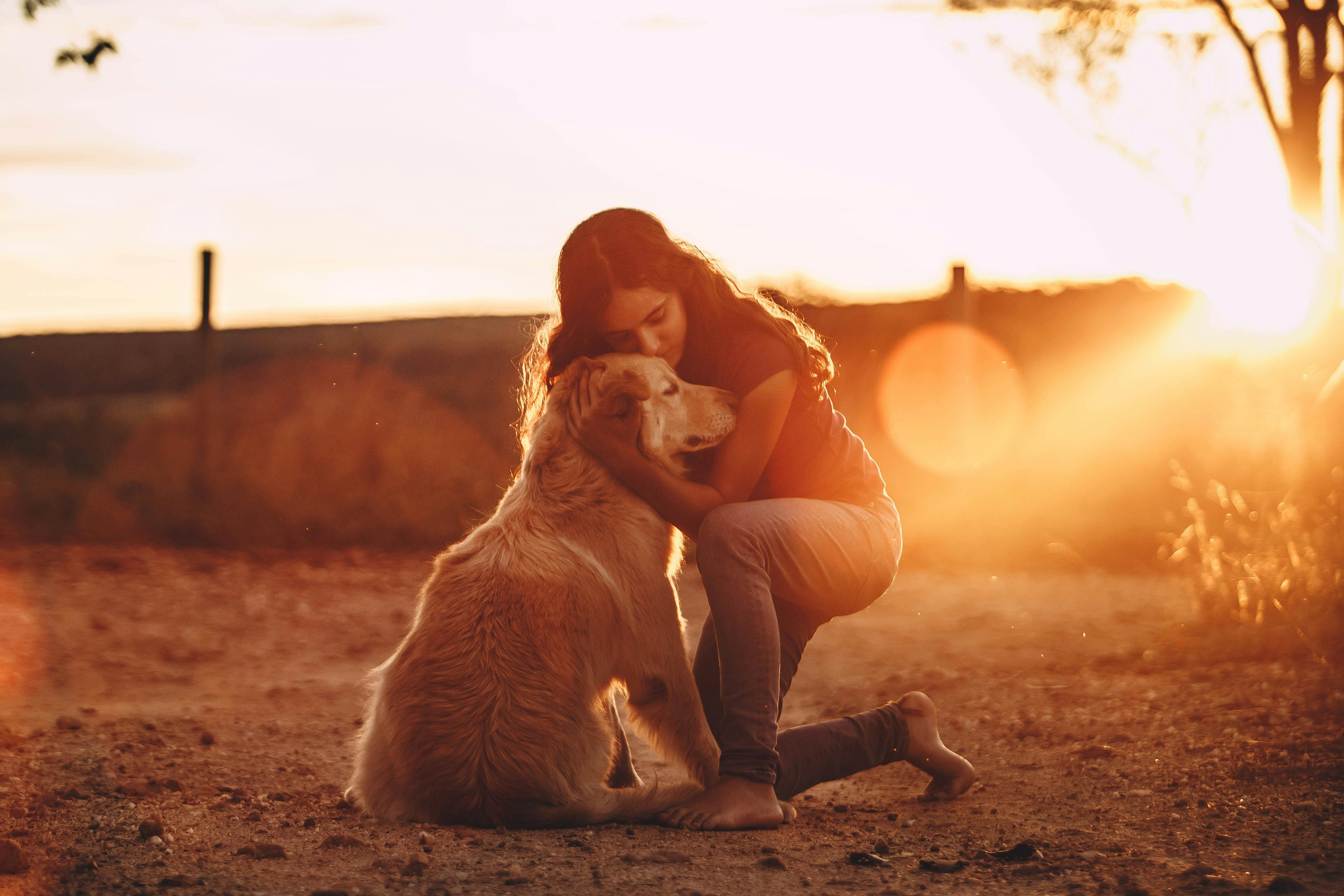 4864x3243 How Do I Get My Rescue Dog to Bond?
