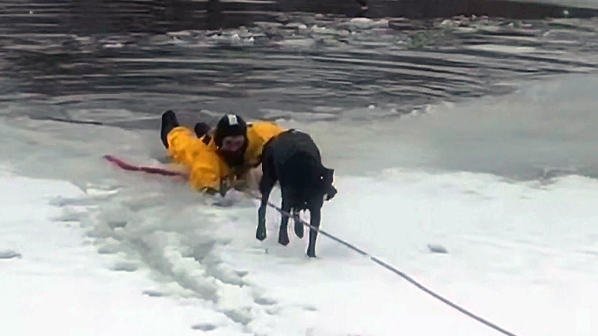 1920x1080 Watch: Firefighters rescue dog from icy pond near Salt Lake City