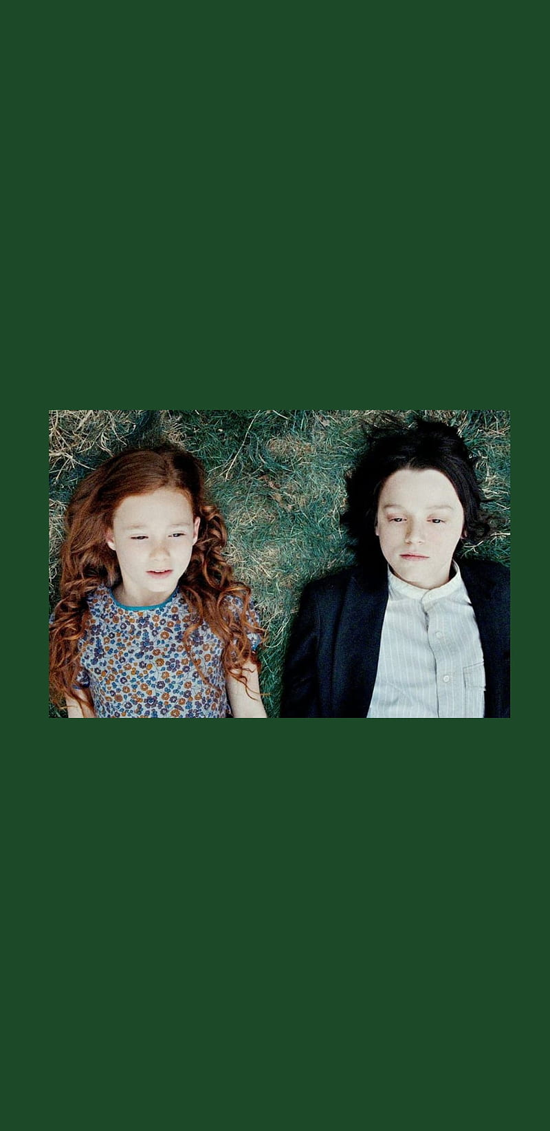 800x1643 HD lily potter wallpaper