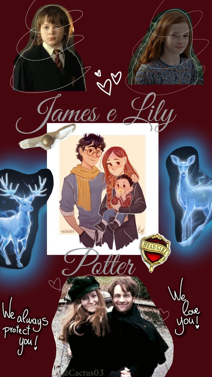 736x1308 Wallpaper Jily, Harry Potter