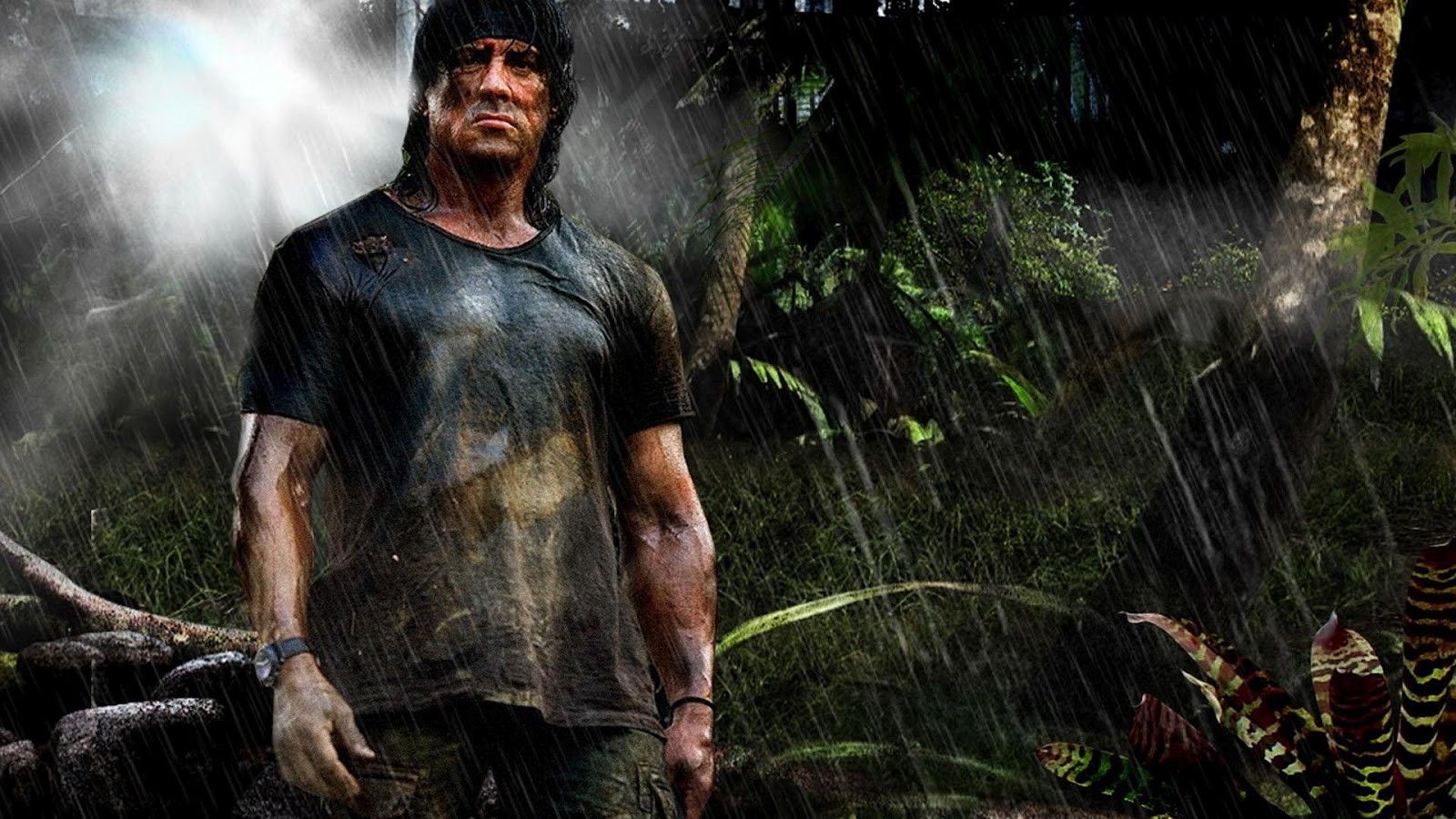 1600x900 Rambo Phone Wallpaper: Free 4K & HD Downloads