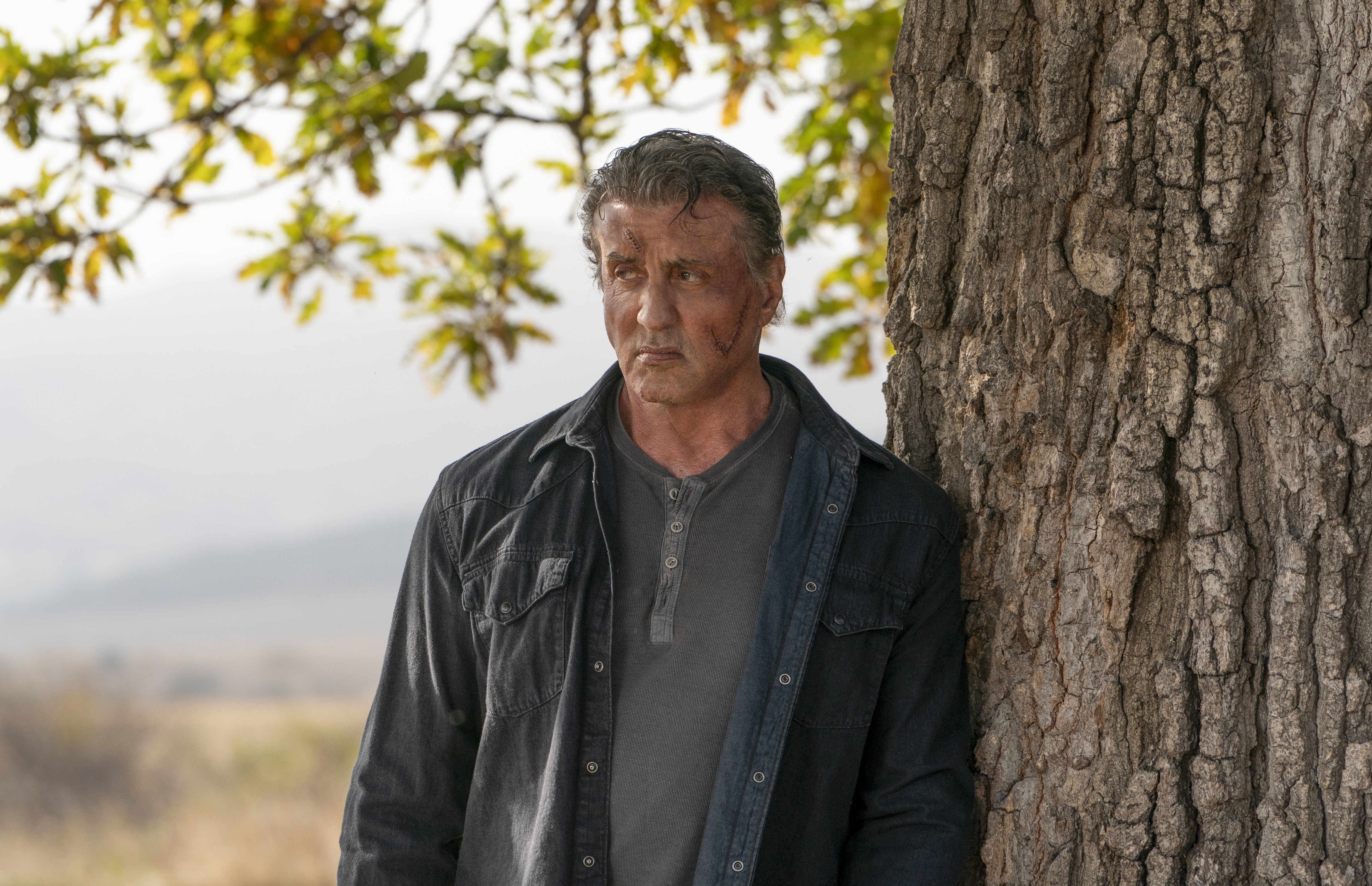 4924x3179 Sylvester Stallone as John Rambo In Last Blood Wallpaper, HD Movies 4K Wallpaper, Image and Background