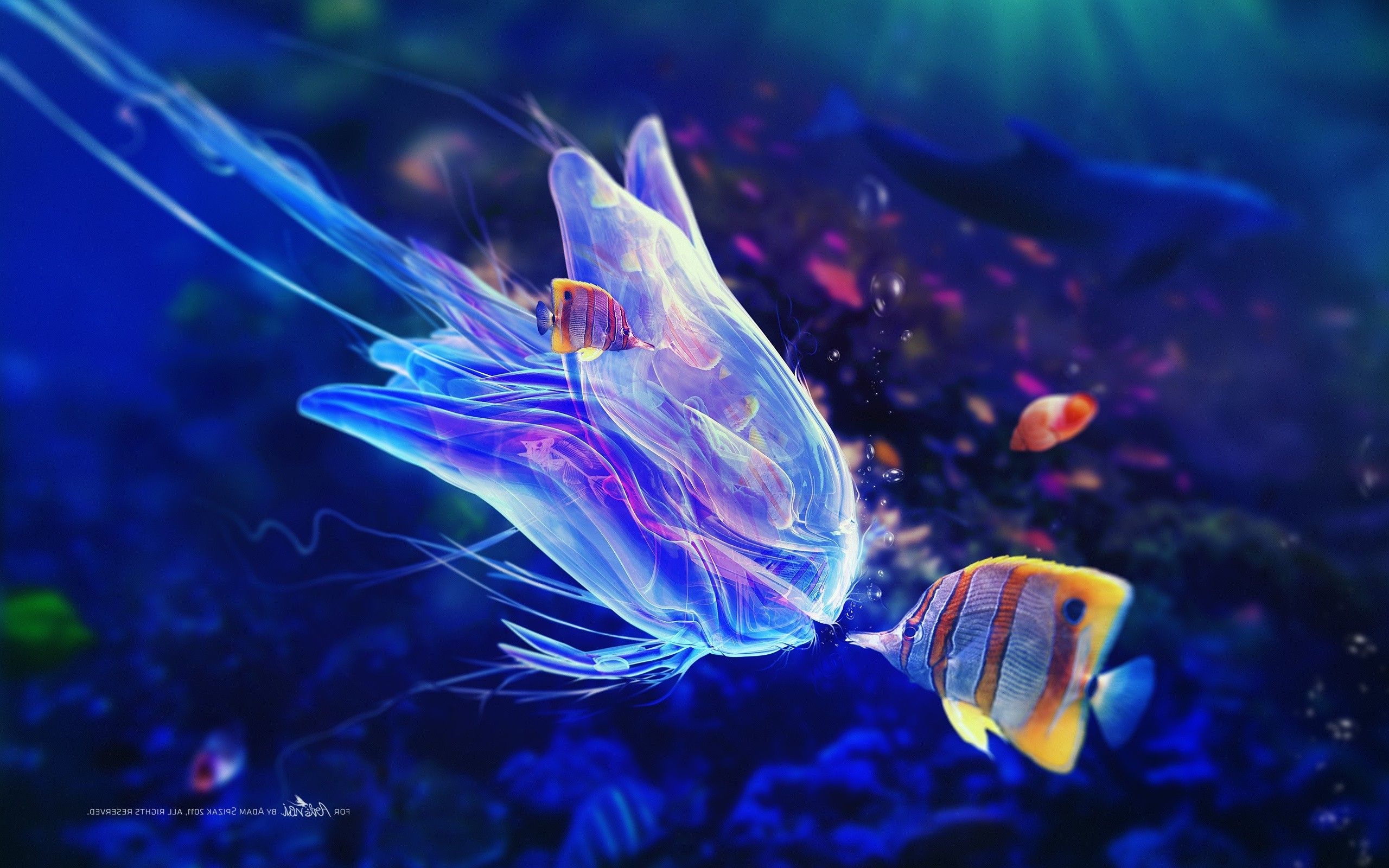 2560x1600 fantasy Art, Bubbles, Fish, Adam Spizak, Digital Art, Sea, Underwater Wallpaper HD / Desktop and Mobile Background