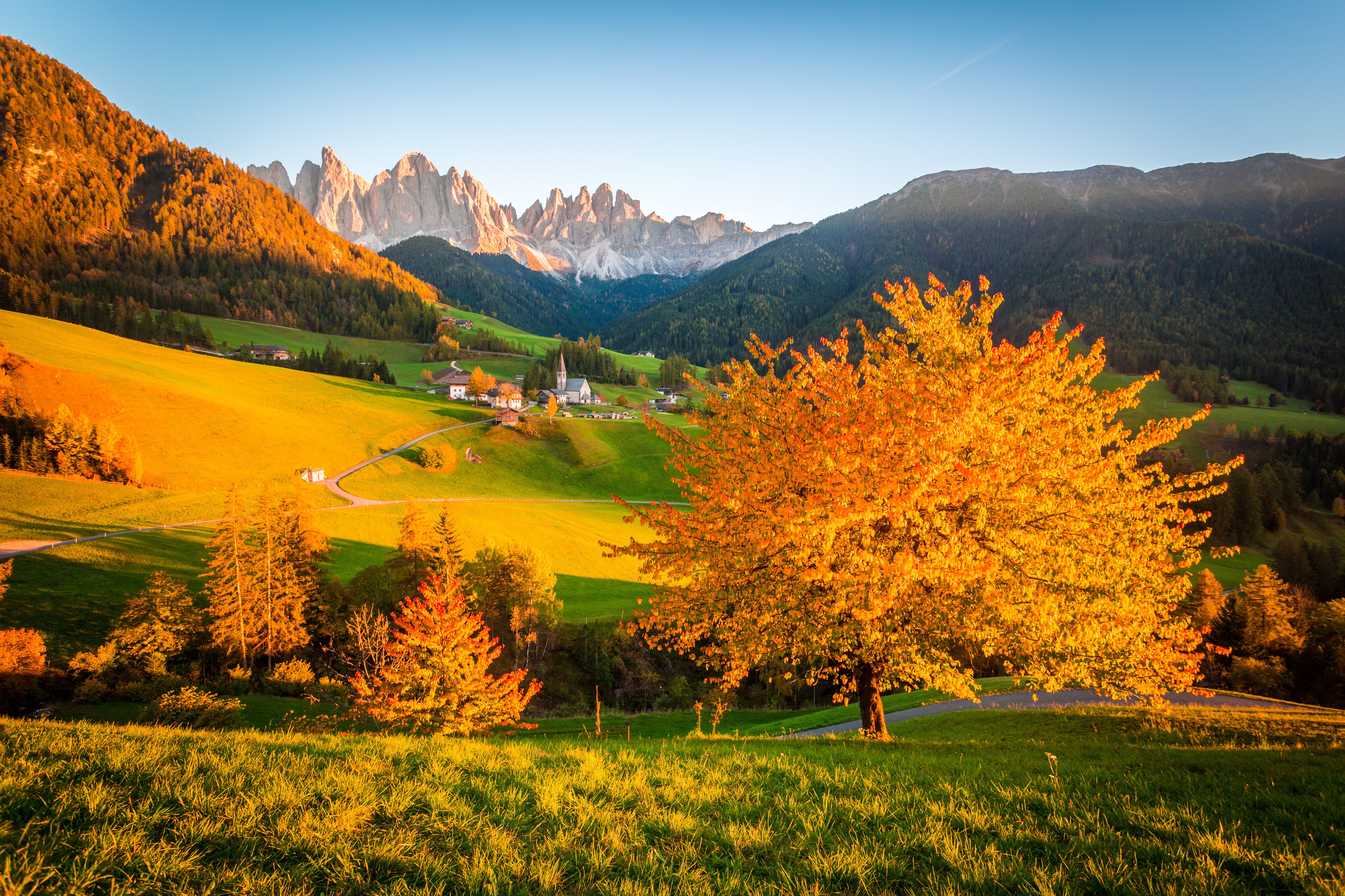 4898x3265 Download Fall Tree Landscape Mountain Man Made Village Fall Landscape 4k Ultra HD Wallpaperx3265