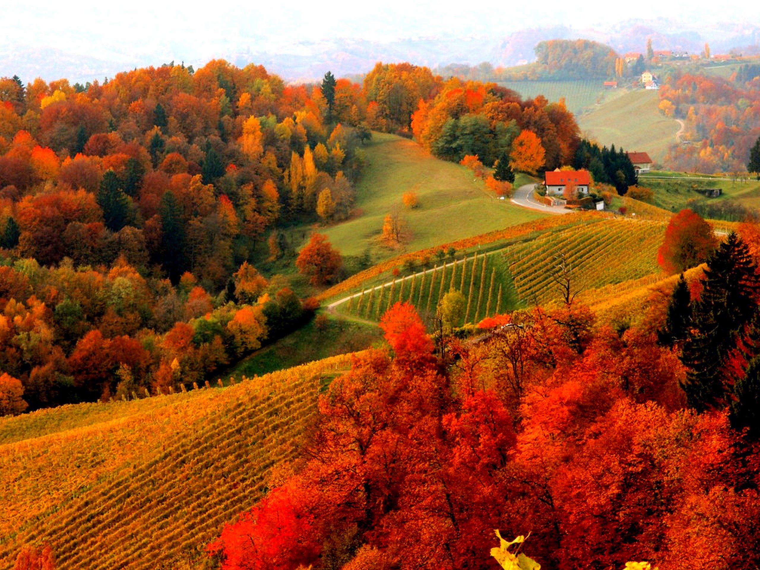 2560x1920 houses, Foliage, Fall, Autumn, Mountain, View, Lovely, Hills, Beautiful, Trees, Village, Peaceful Wallpaper HD / Desktop and Mobile Background