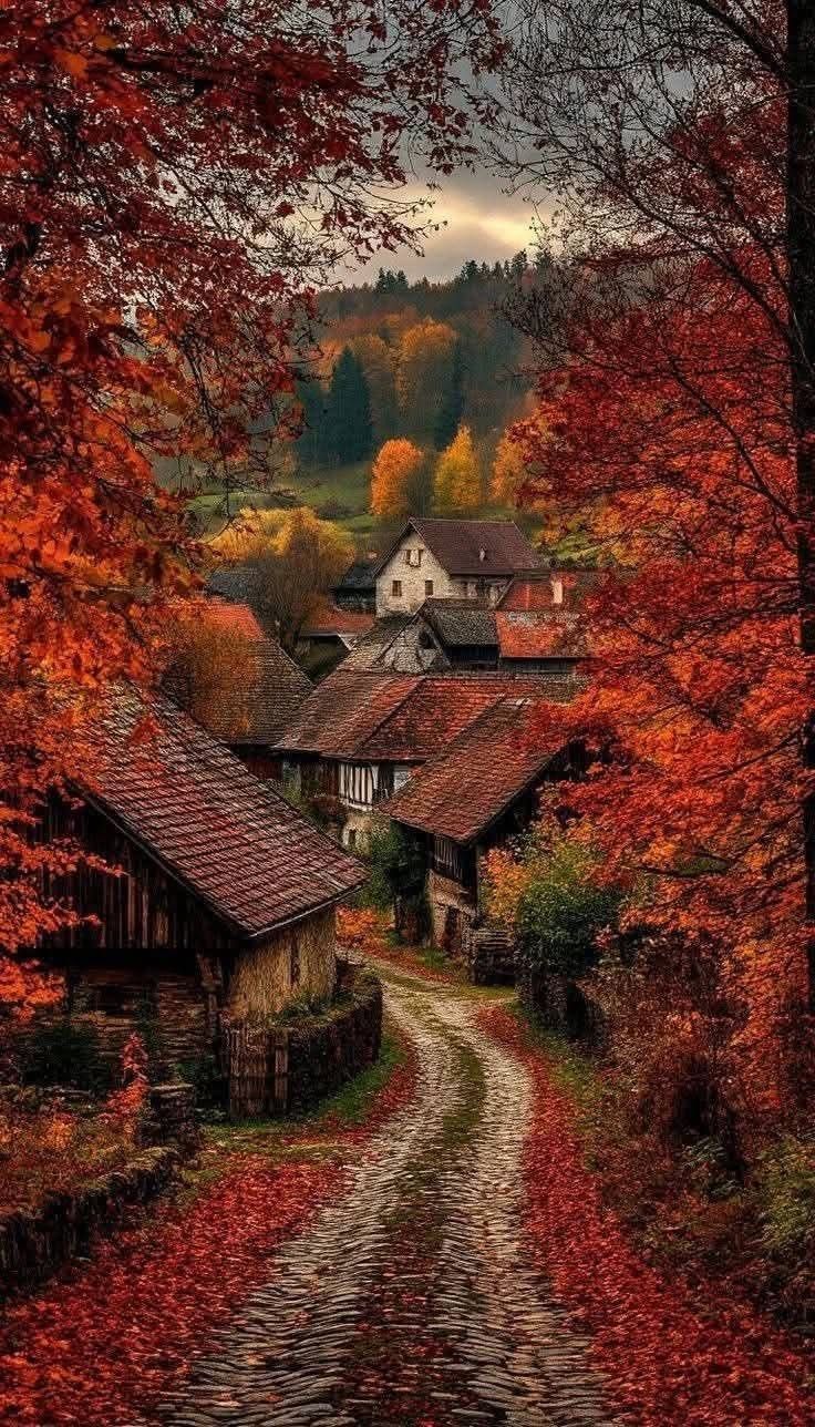 736x1288 Autumn Village