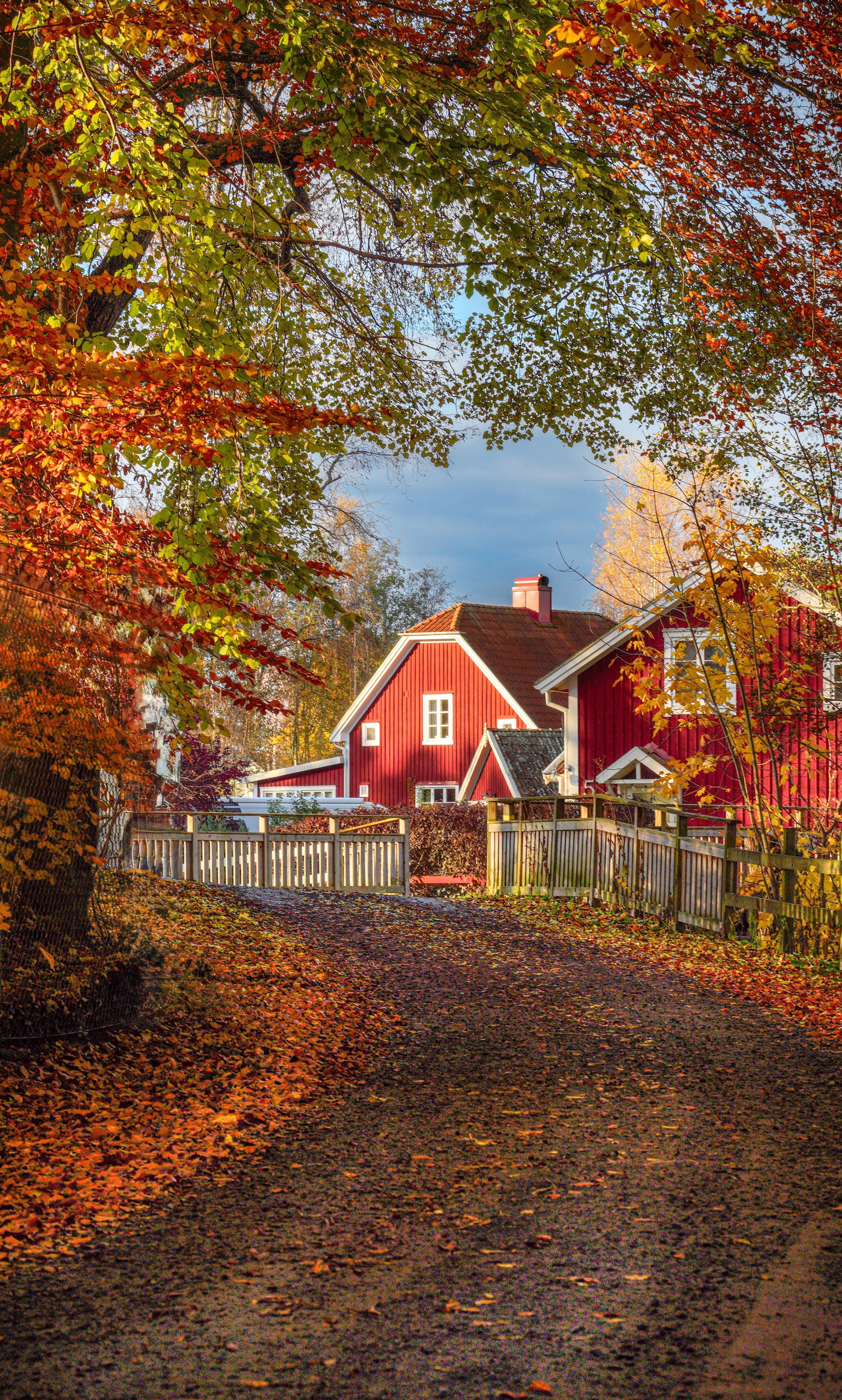 3734x6208 Charming Red House in Vibrant Autumn Setting · Free