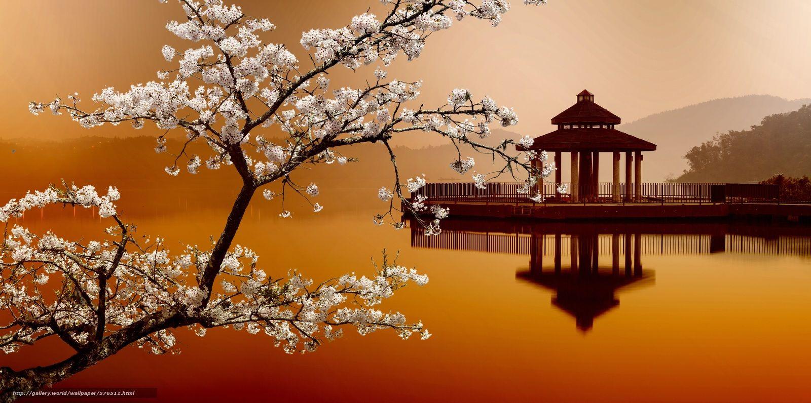 1600x796 Tải xuống hình nền Phong cảnh phương Đông, ngôi nhà trên mặt nước, Sakura