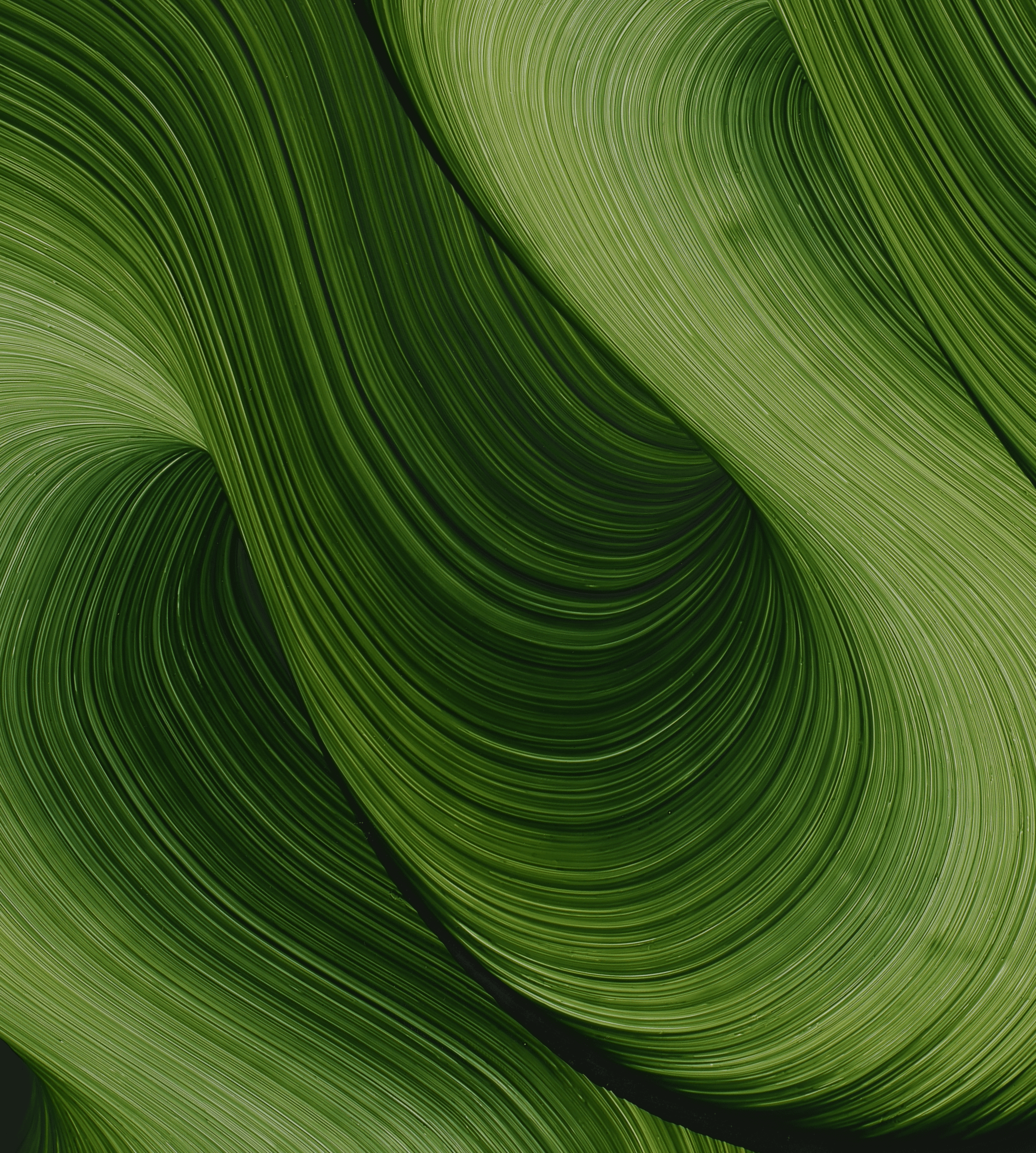 2232x2484 Could someone send the full resolution Fairphone 6 wallpaper?