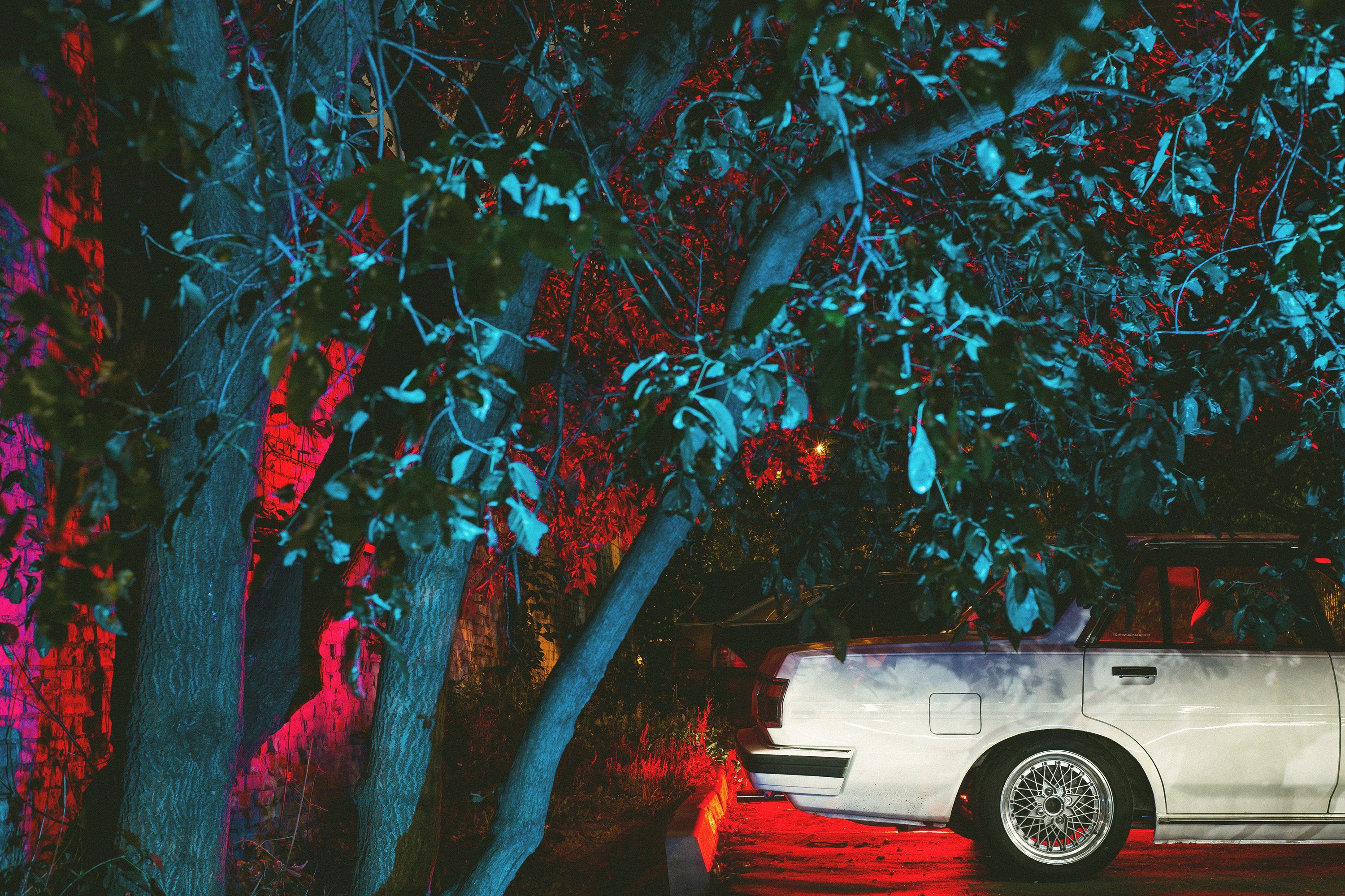 3000x2000 A white car parked in front of a tree