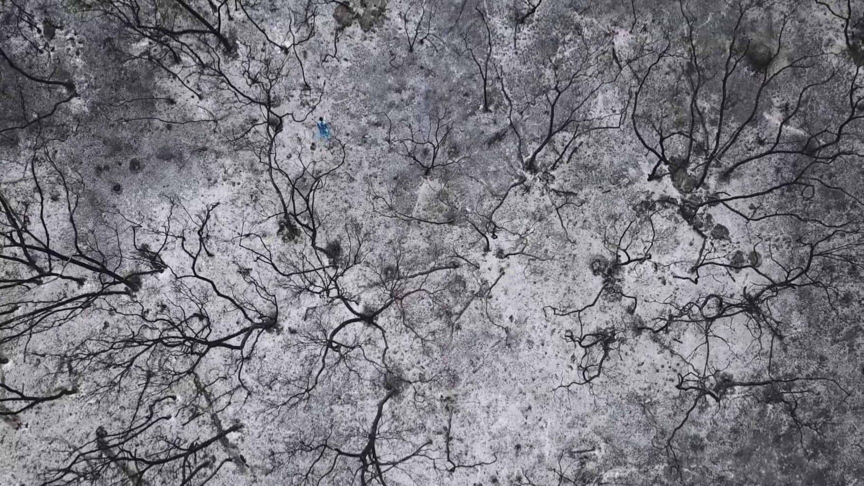 1728x973 Flume