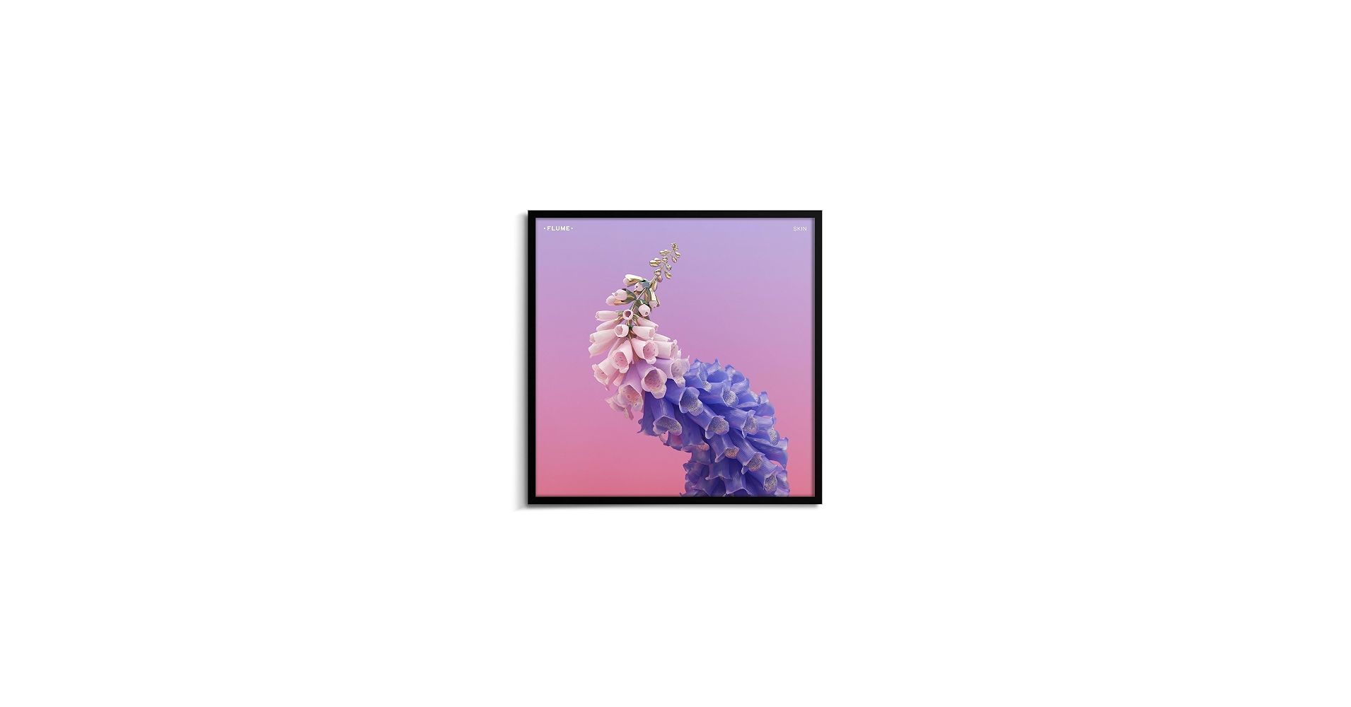 1910x1000 Flume poster, Flume Skin 2016 album cover poster, EDM poster, Electronic music wall decor (24x24 inches) : Home & Kitchen