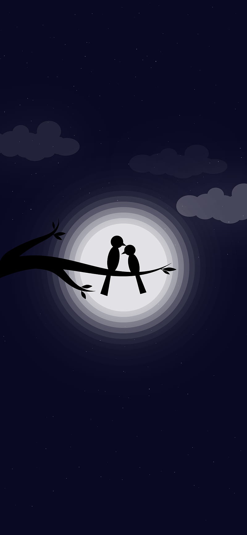800x1732 Love birds, goodnight, midnight, minimal, minimalist, moon, night, phone, scenary, HD phone wallpaper