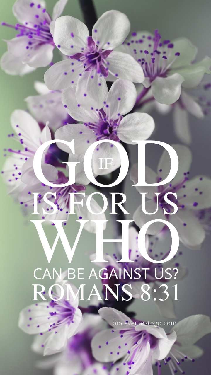 720x1280 Purple n White Romans 8:31