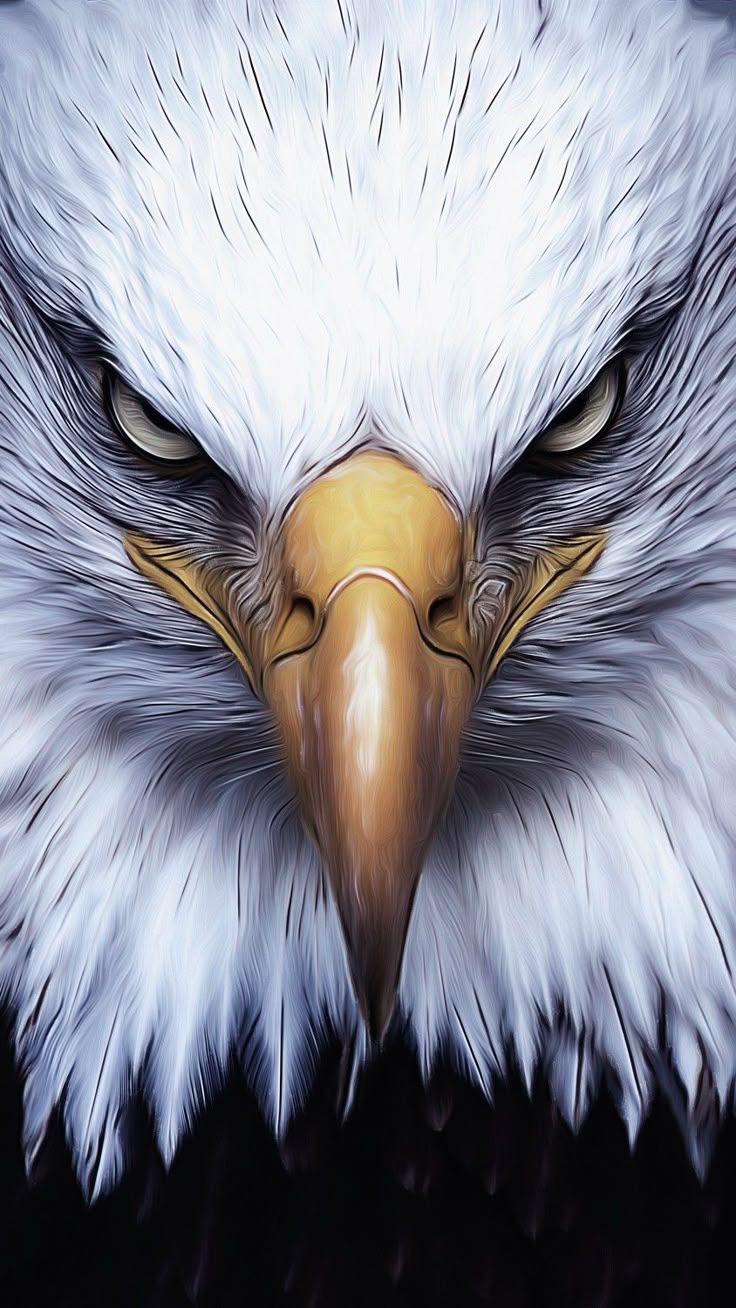 736x1308 Eagle