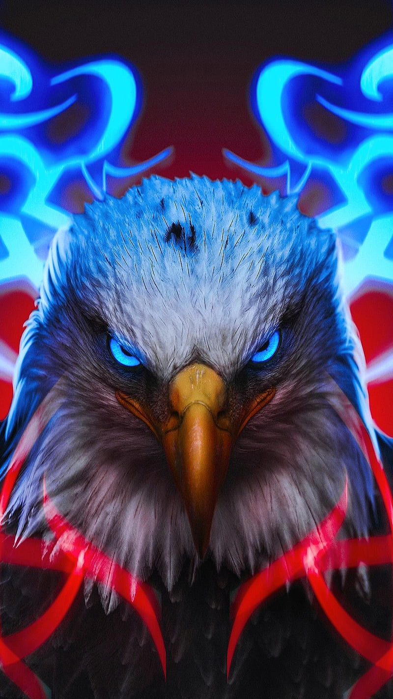 800x1422 HD eagle face wallpaper