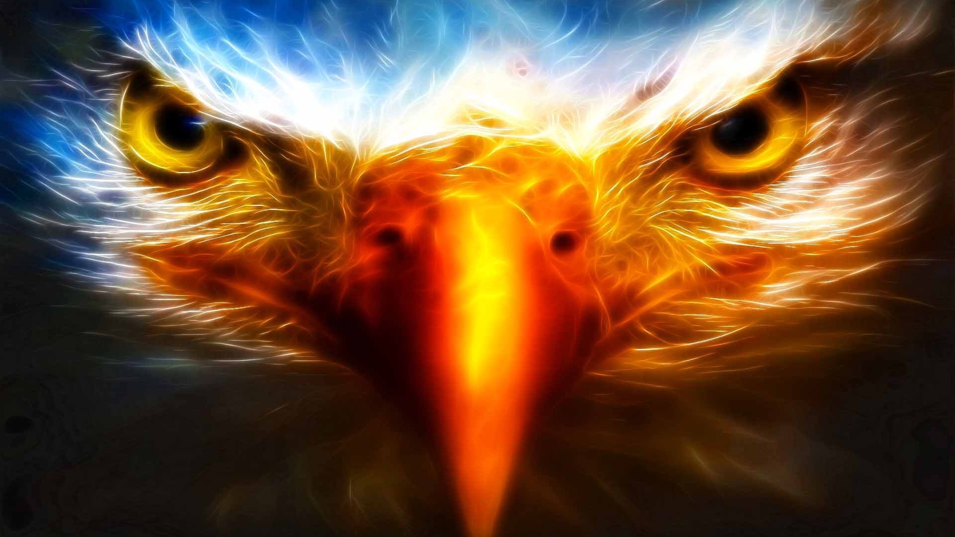 1920x1080 Eagle Head Wallpaper