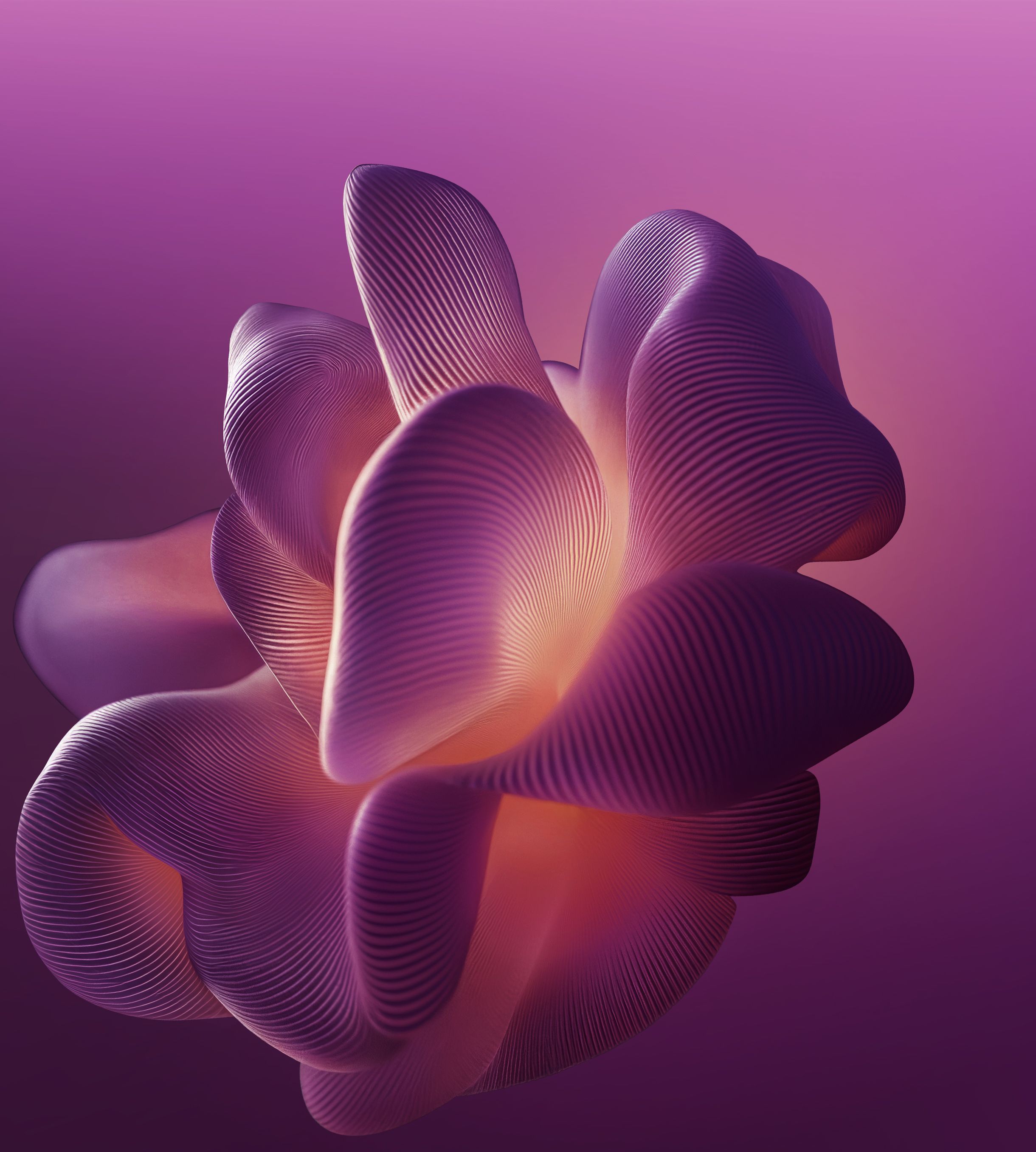 2440x2712 Motorola Edge 60 Pro Wallpaper and Background