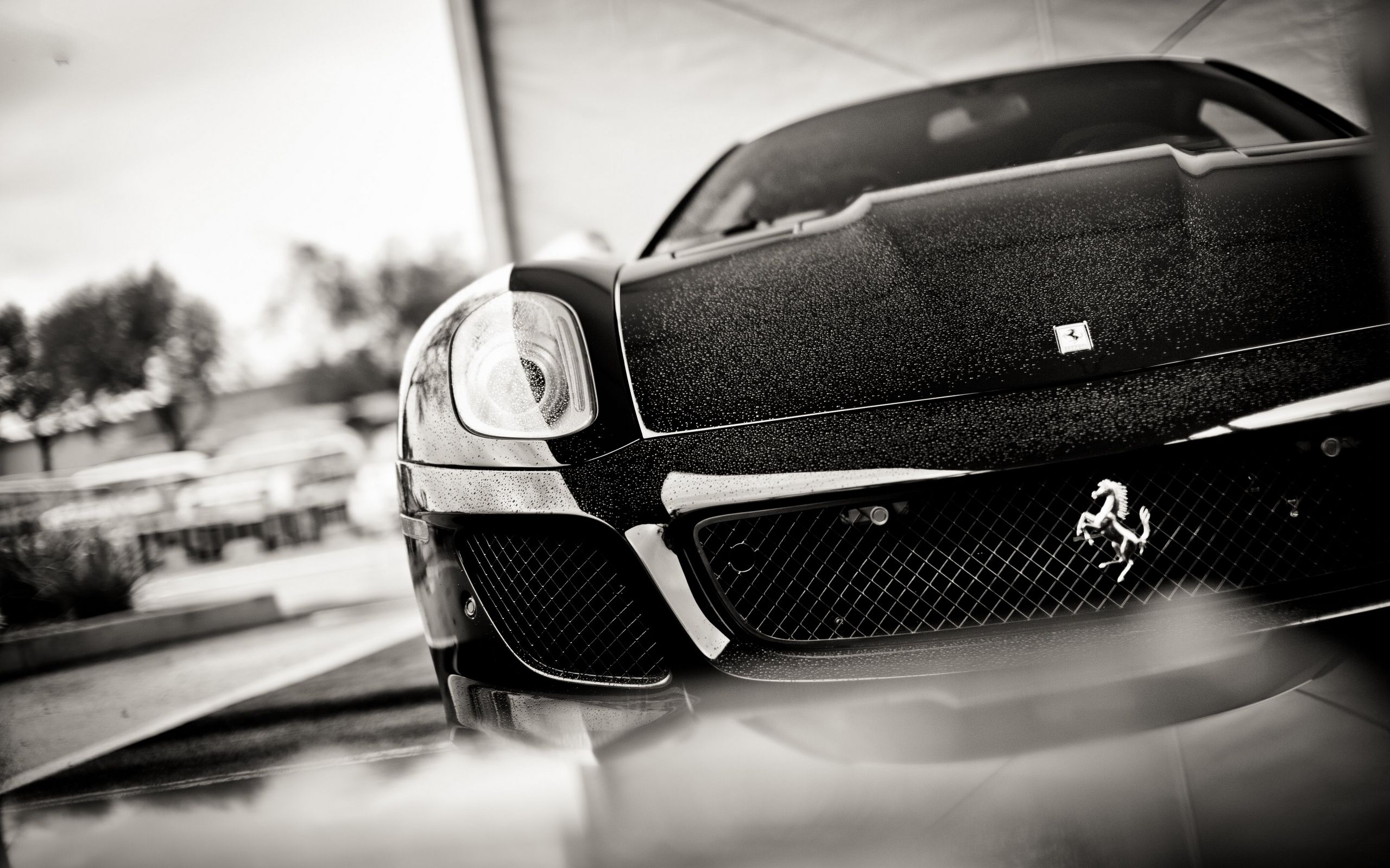 2560x1600 Download Black & White Car Ferrari Vehicle Ferrari SA Aperta HD Wallpaperx1600