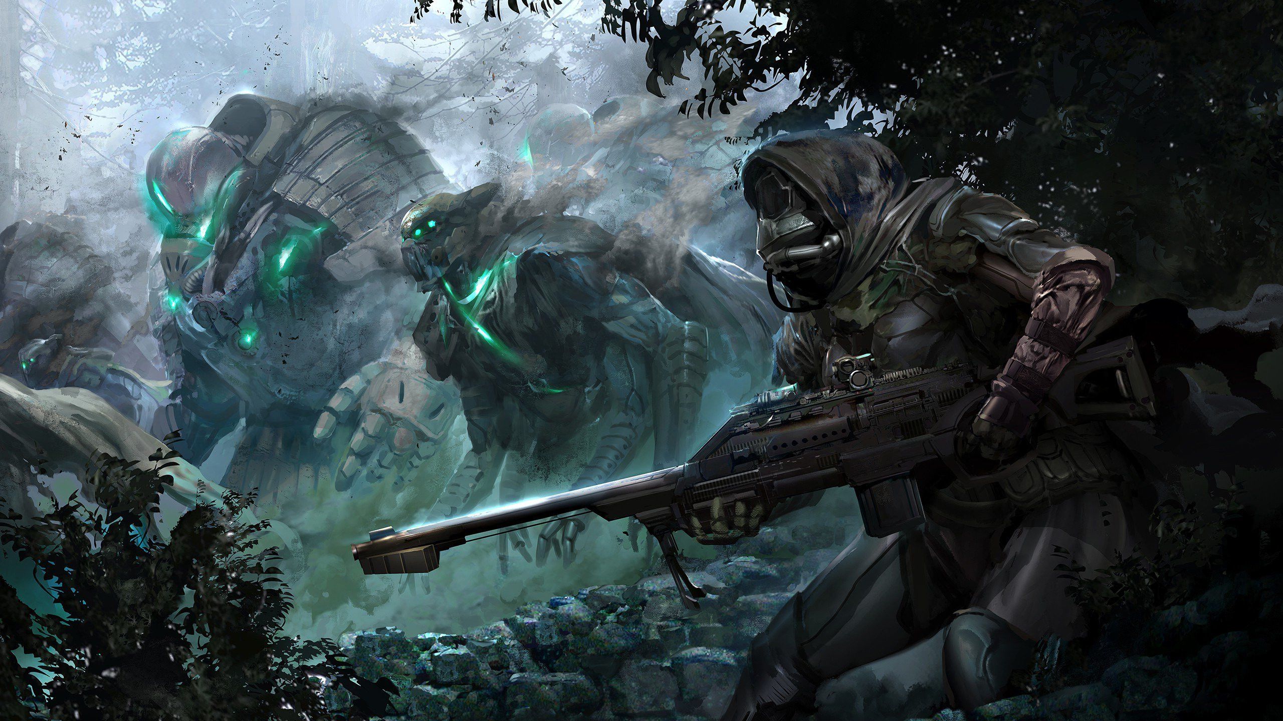 2560x1440 Destiny Wallpaper 2560x1600 67240