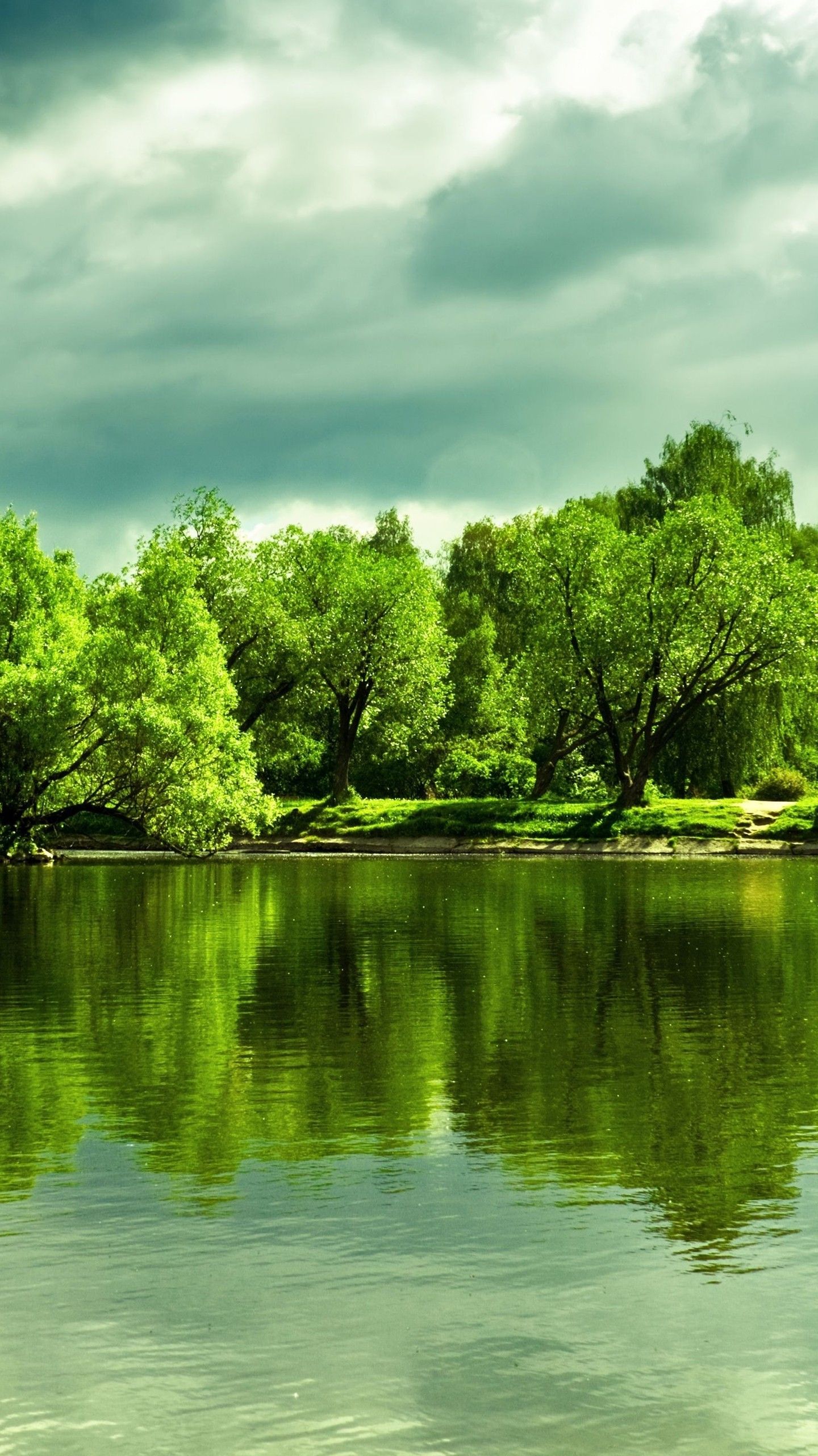 1440x2560 green trees in front of lake under cloudy sky during daytime with reflection on water 4K 5K HD Nature Wallpaper