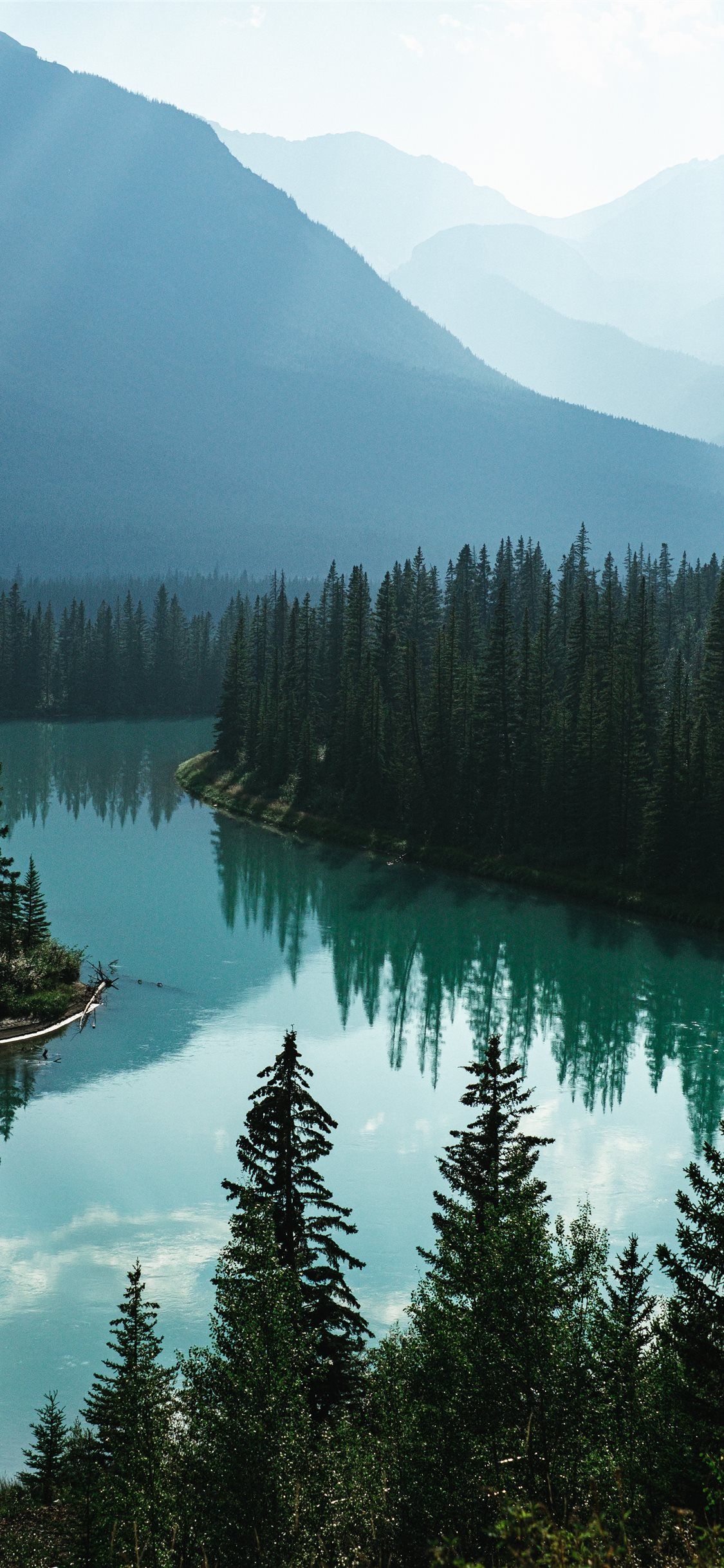 1125x2436 body of water and pine trees iPhone X Wallpaper Free Download