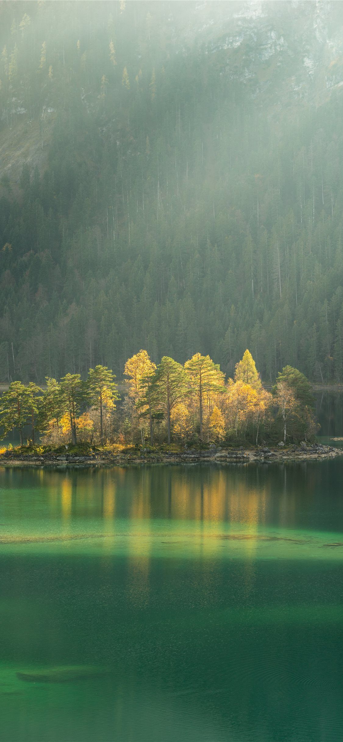 1125x2436 trees surrounded by body water during daytime iPhone X Wallpaper Free Download