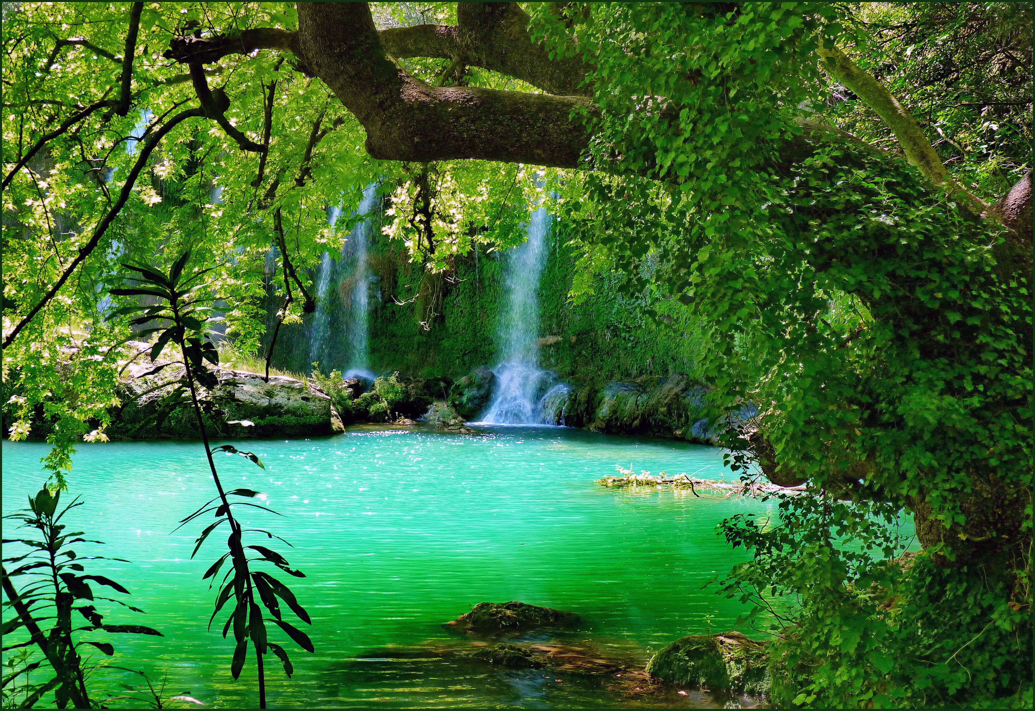4000x2750 Wallpaper Green Trees Beside Body of Water During Daytime, Background Free Image