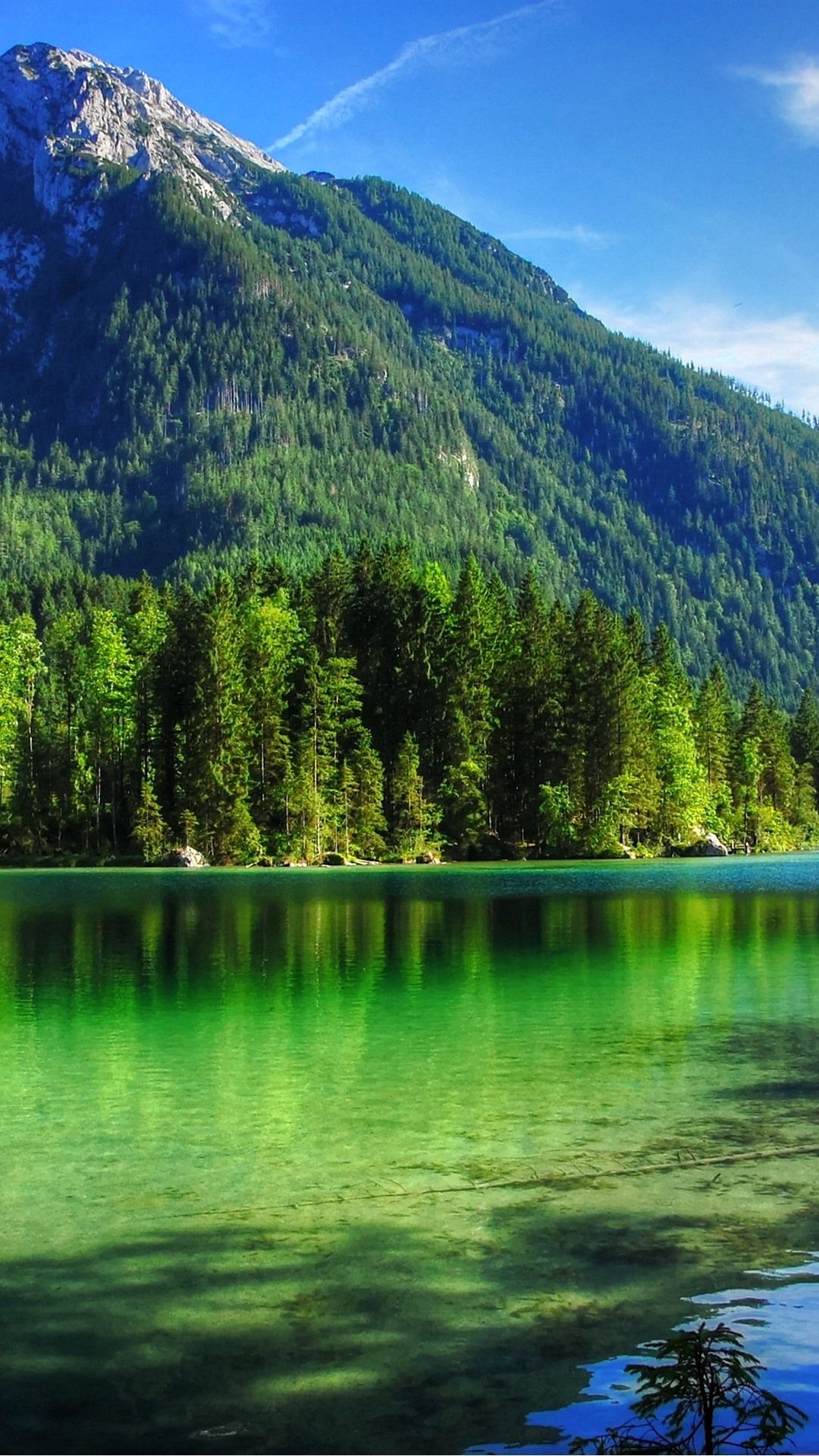 1080x1920 Clear Water, Lake, Trees, Mountains, Summer 1080x1920 IPhone 8 7 6 6S Plus Wallpaper, Background, Picture, Image