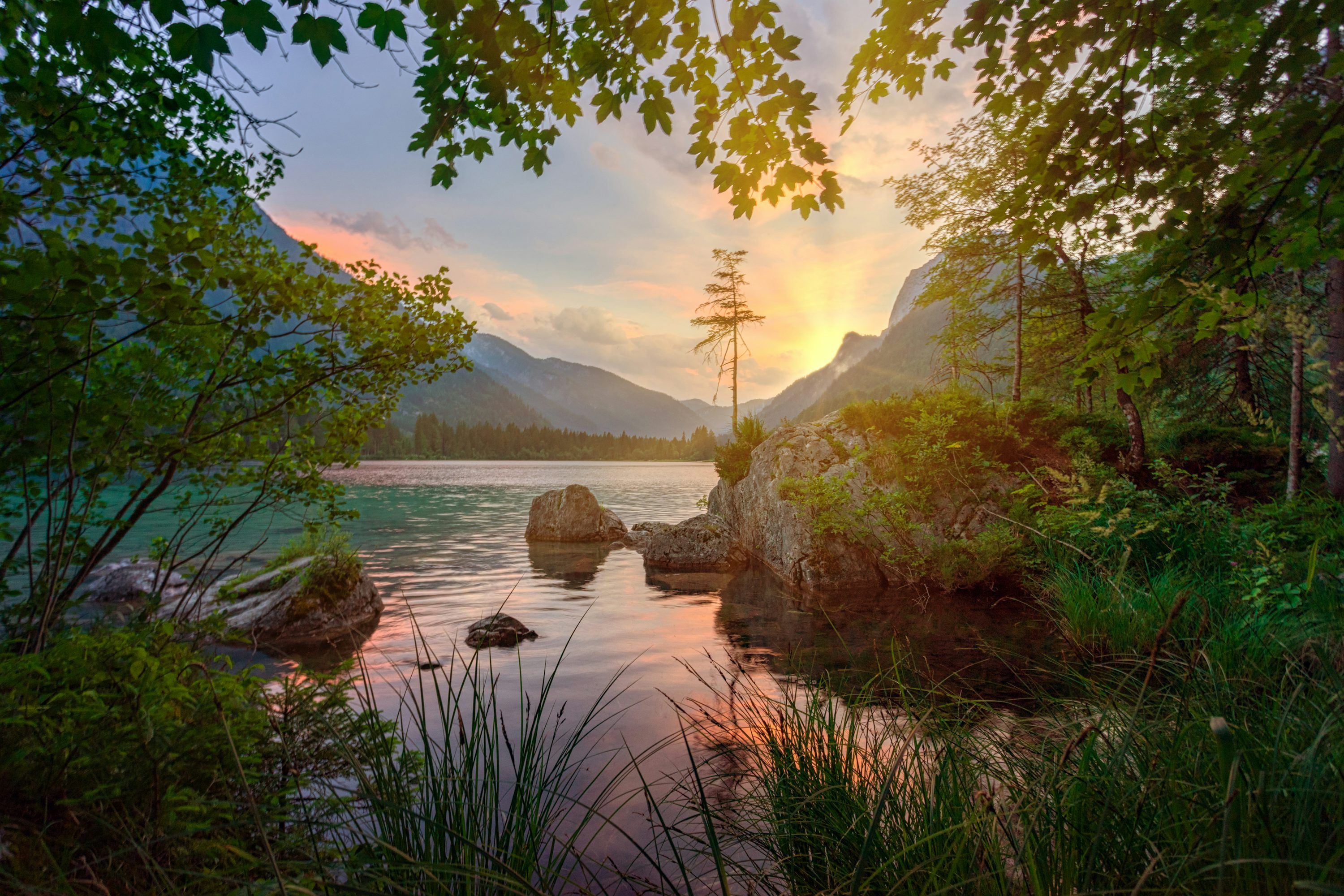 3000x2000 Green trees near body of water during daytime