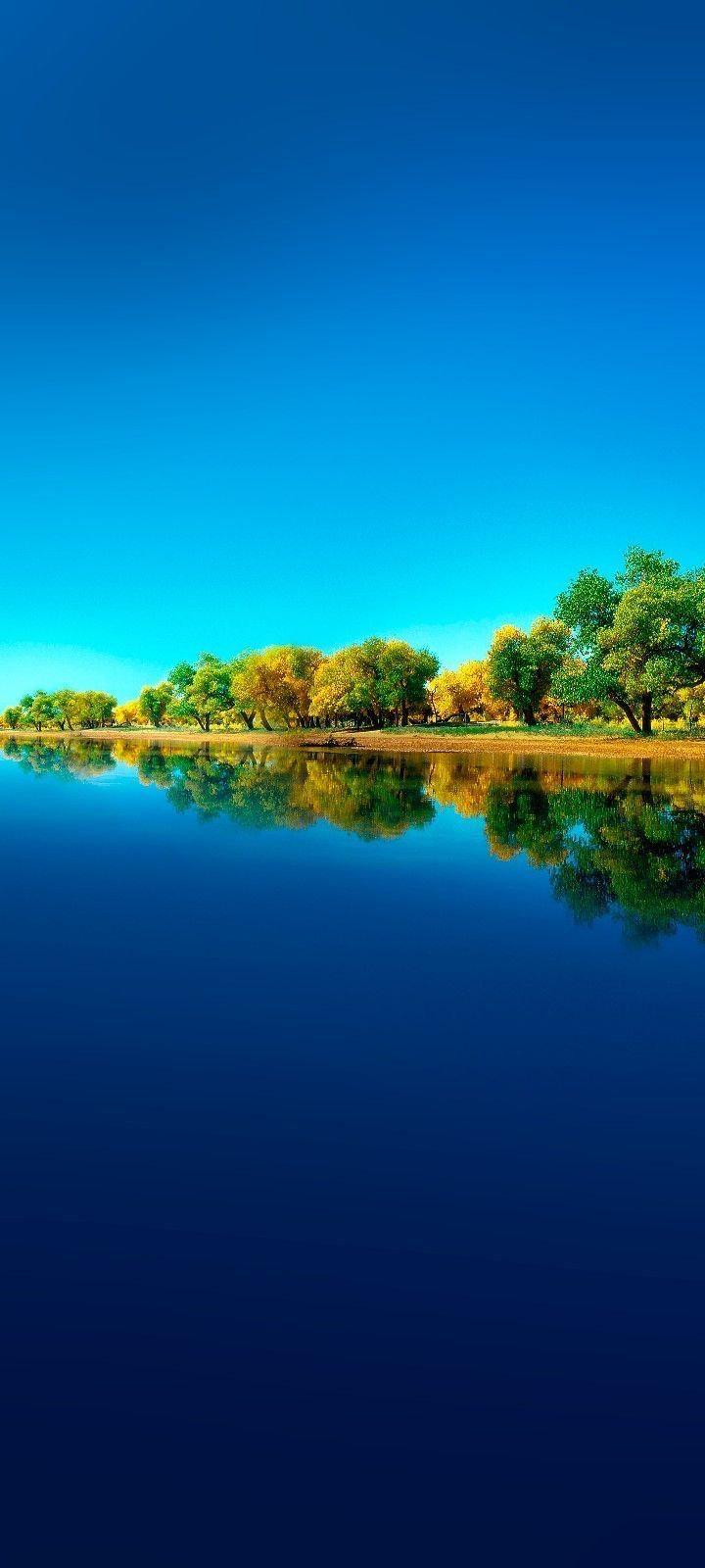 720x1600 Exclusive Wallpaper of Calm Blue Water and Green Trees. Huawei mate 50 pro wallpaper, Huawei mate 40 pro wallpaper, HD nature wallpaper